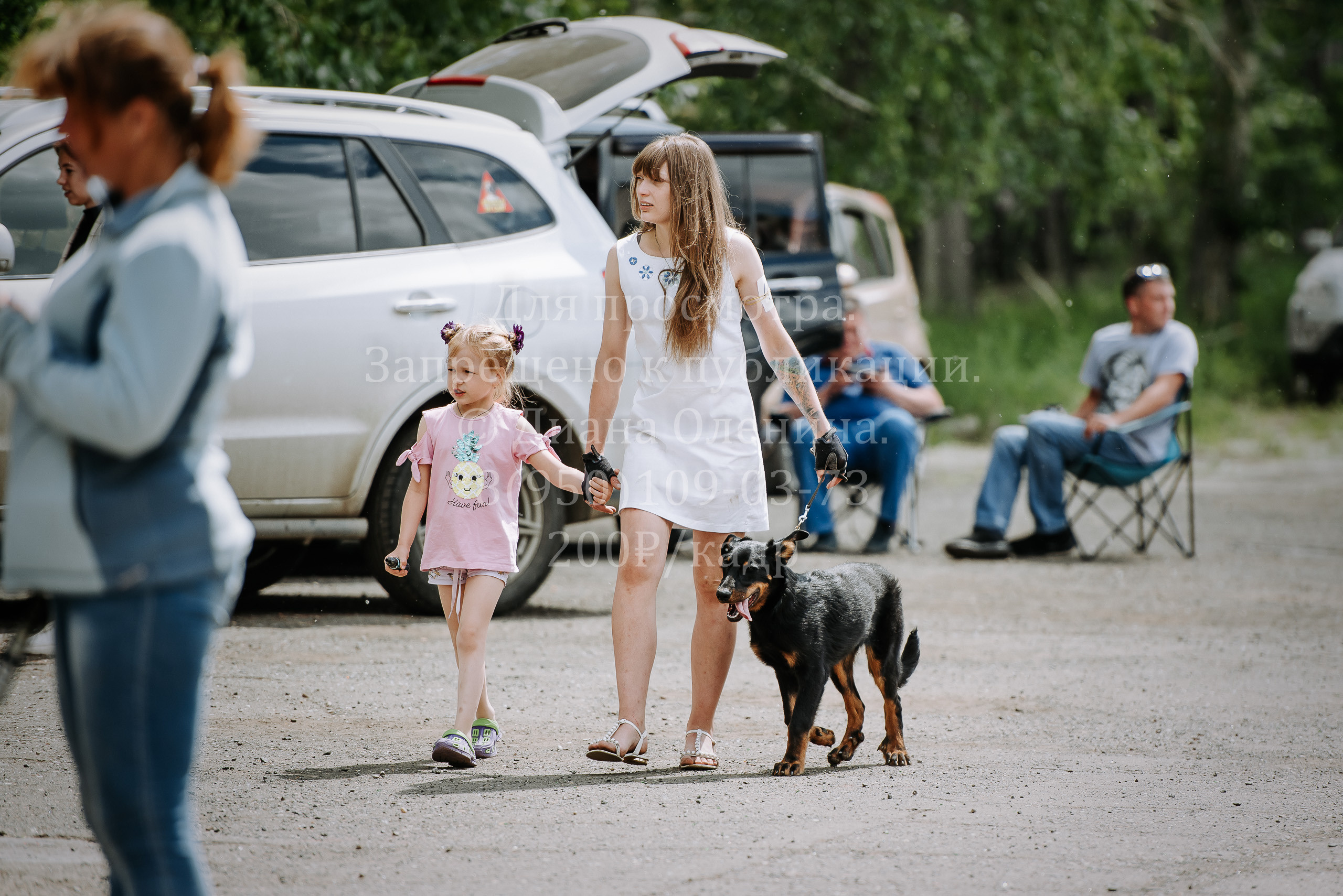 25 июня 2022 г. Братск БГОО КЛС Континенталь. Выставка собак. Фотограф Диана Оленина Красноярск / Братск