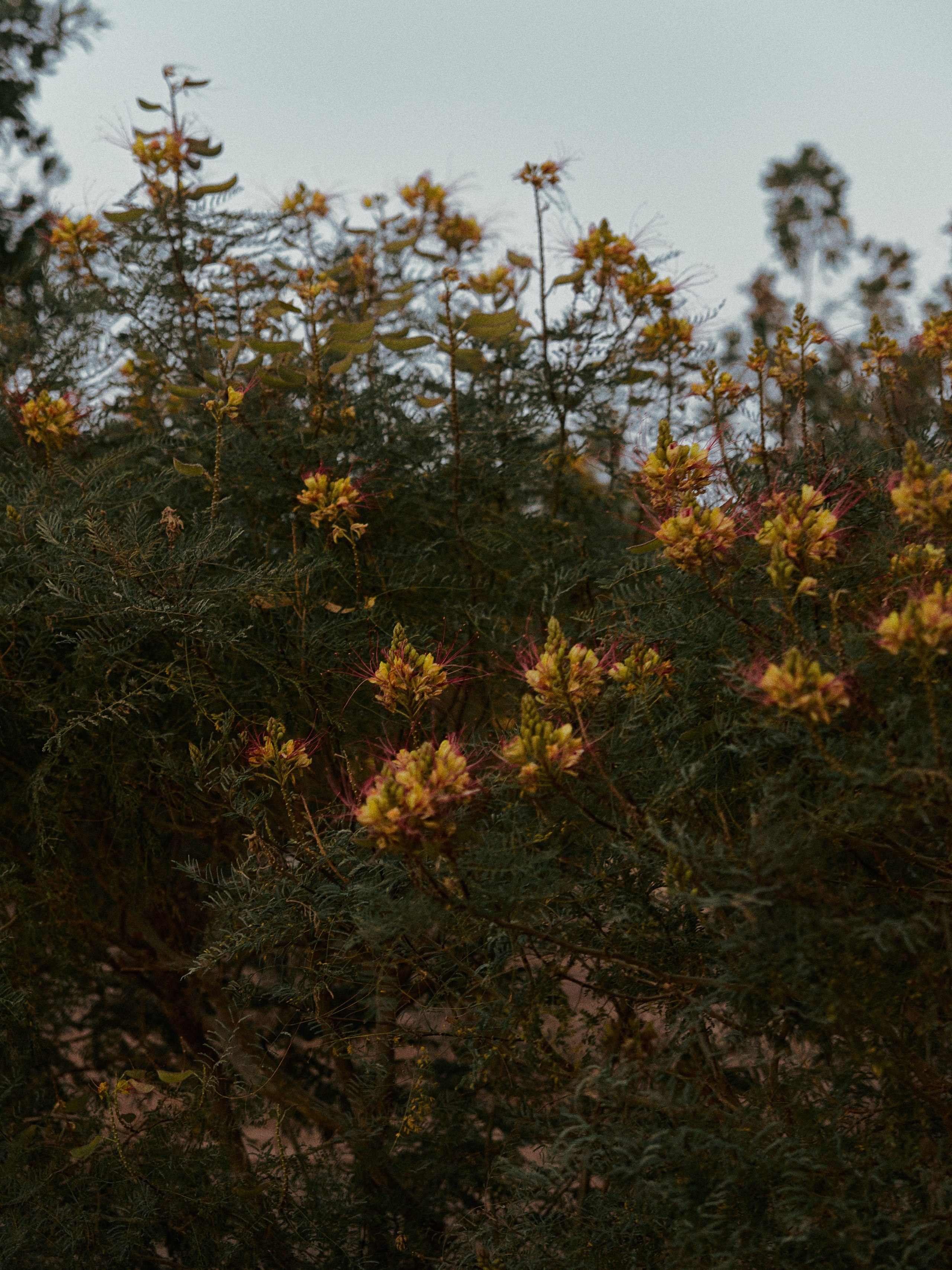 Природа. Jorgis Talè — photographer, kind person, teacher of arts and other mag