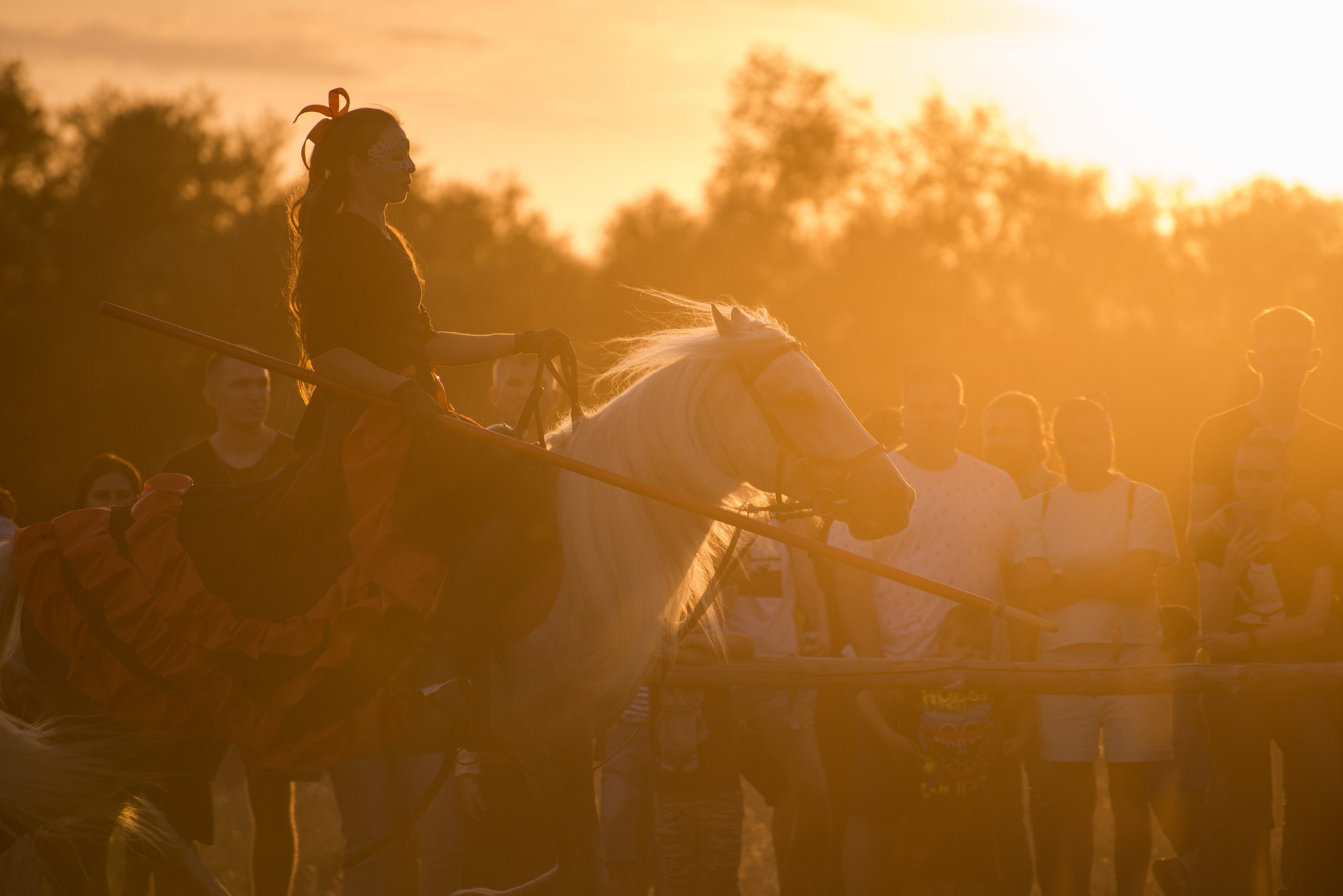 Карнавал Догвинтер. Конный фотограф в Саратове Юлия Иванова