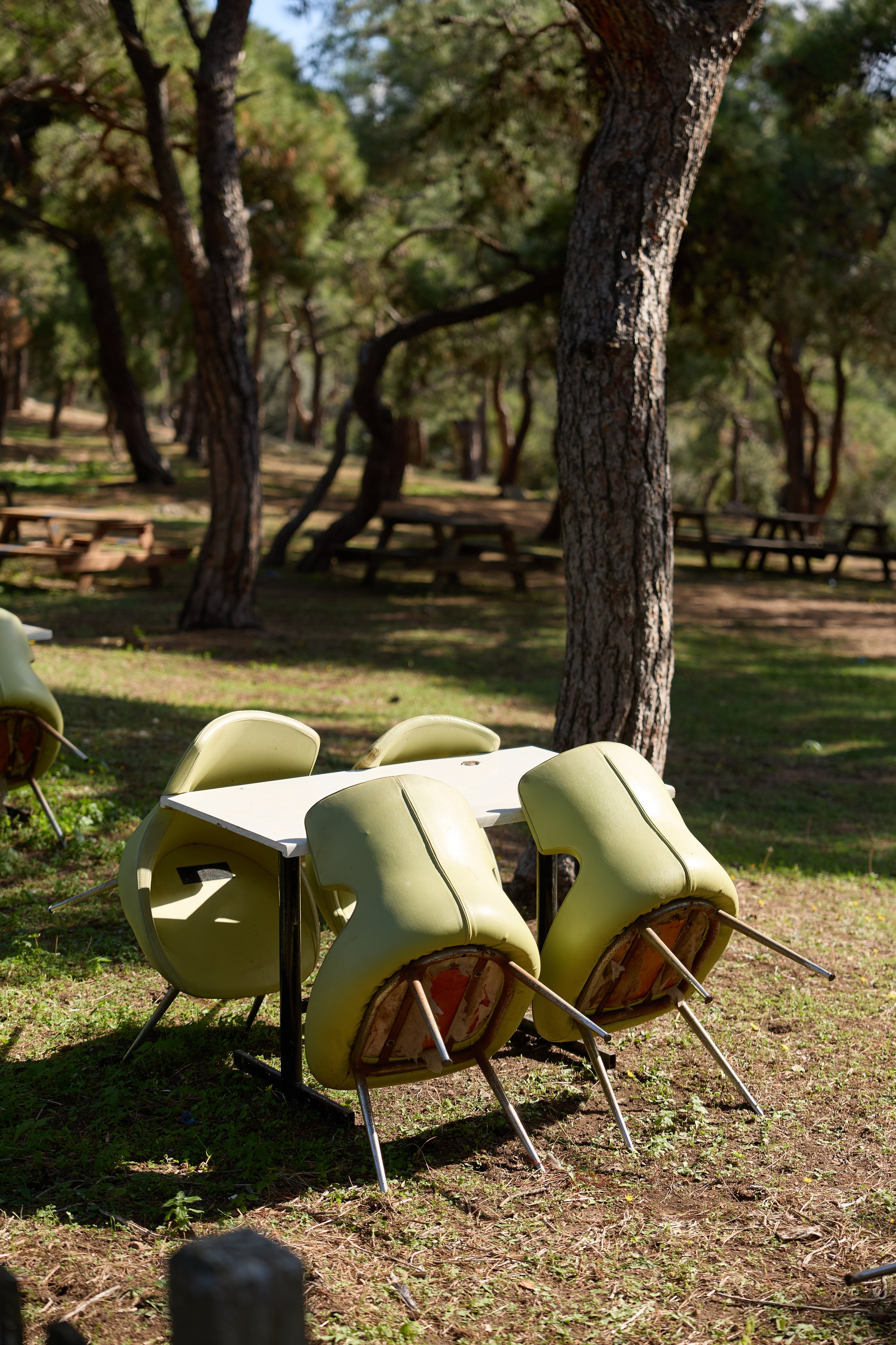 Стамбул 24. Фотограф Москва, Дима Пеллер