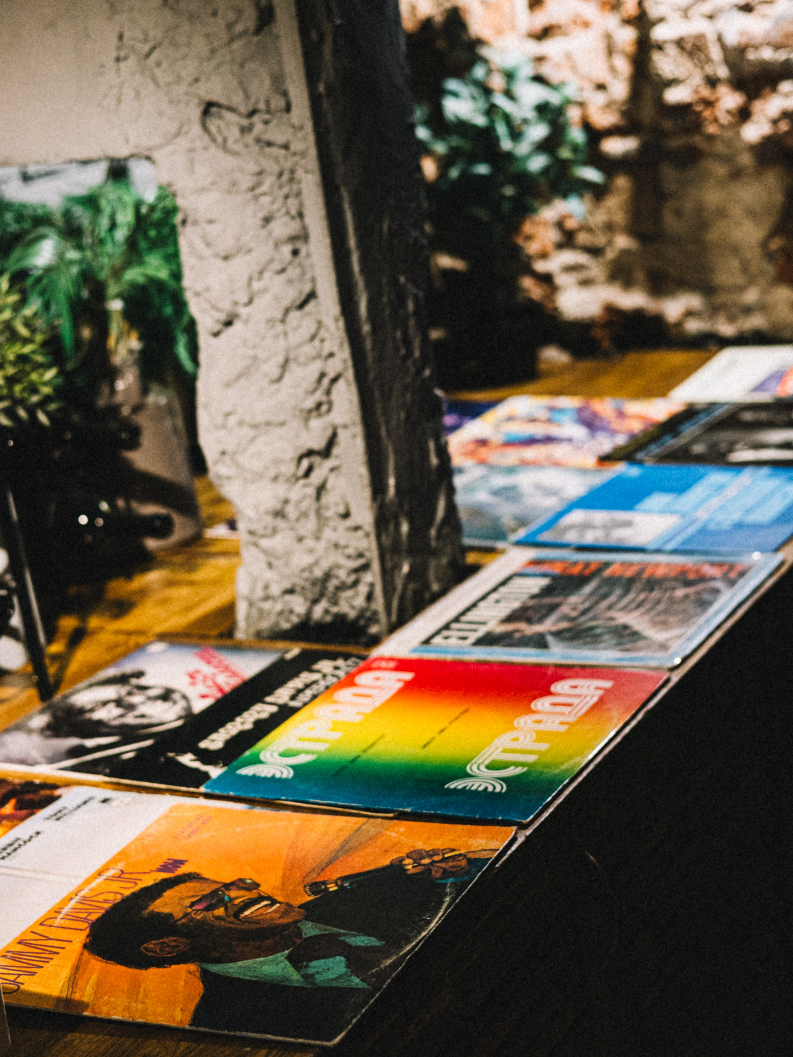 JAZZ вечер. Свадебный и репортажный фотограф в Москве