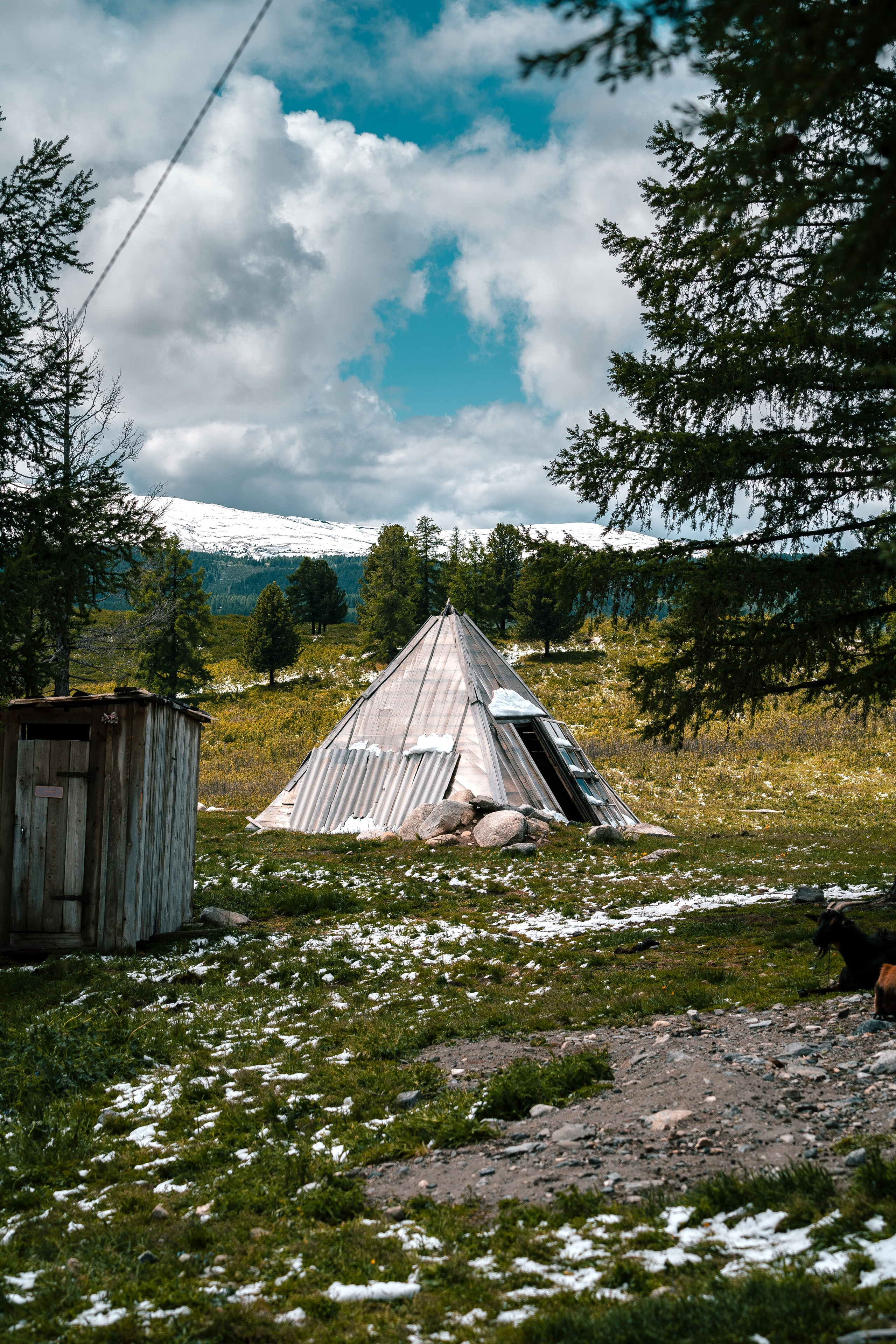 Алтай. Оператор и Фотограф в Санкт-Петербурге и Москве