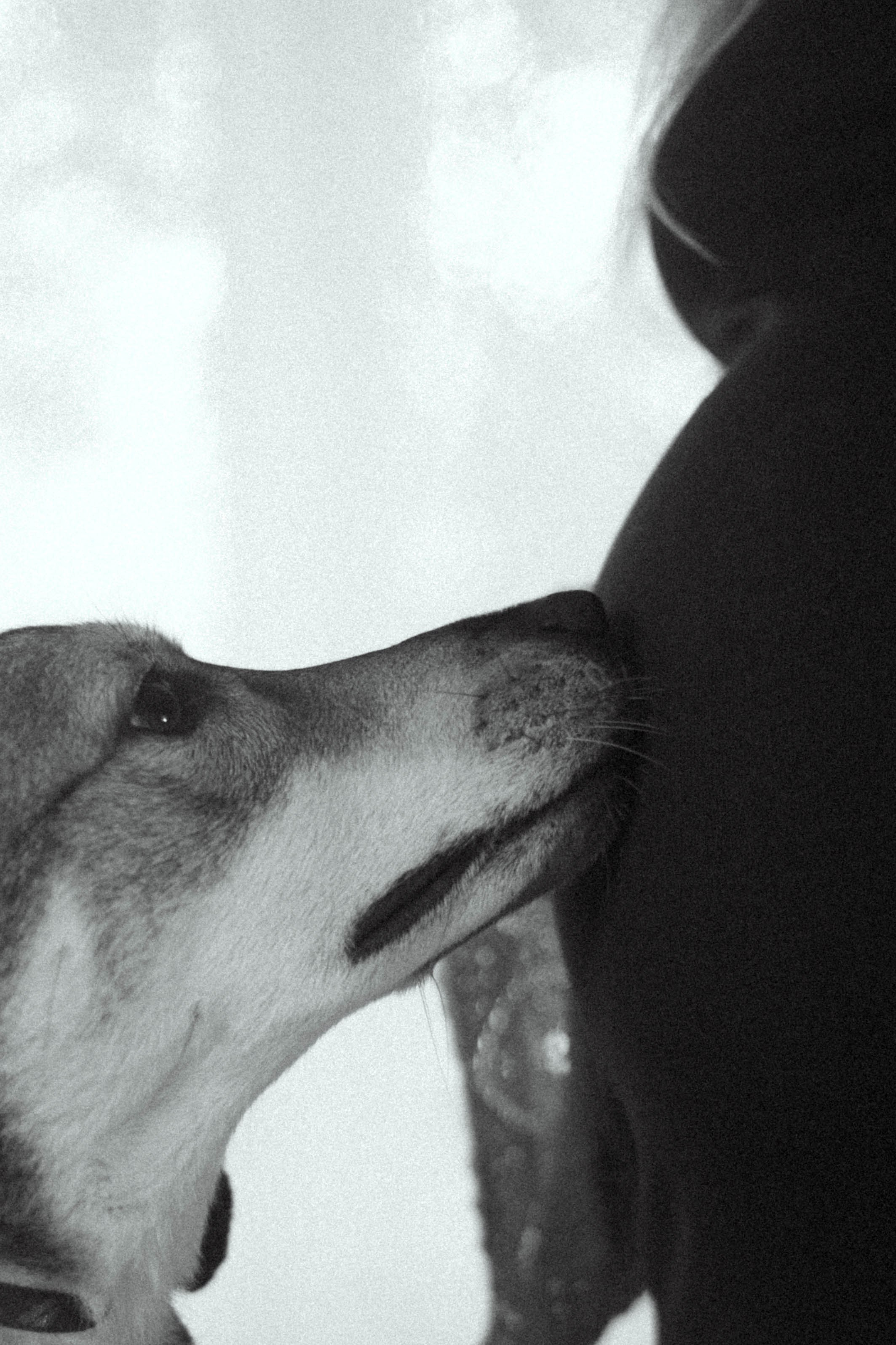 Диана, Миша. Семейный фотограф Юлия Котова