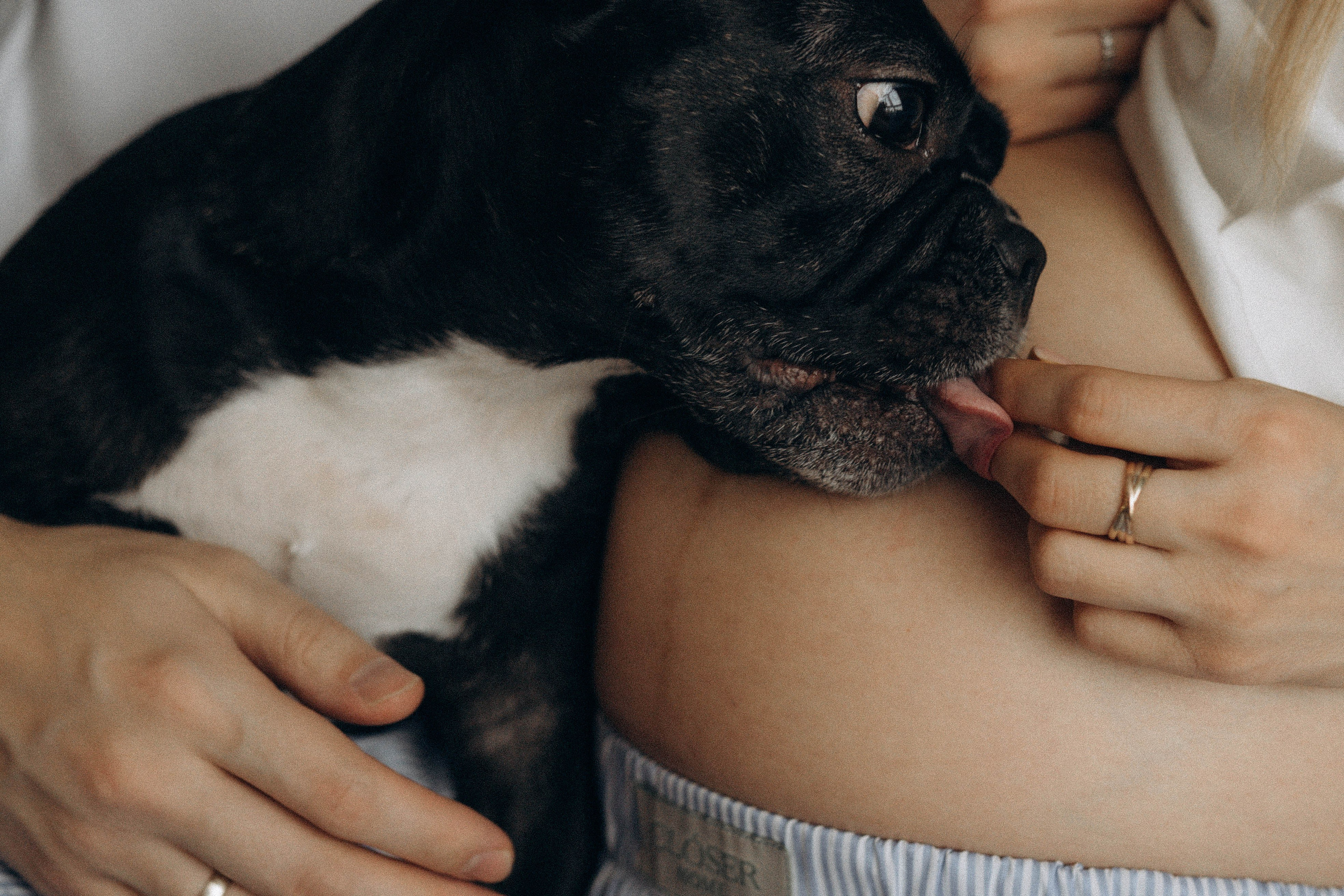 Женя и Максим. Семейный фотограф Юлия Котова