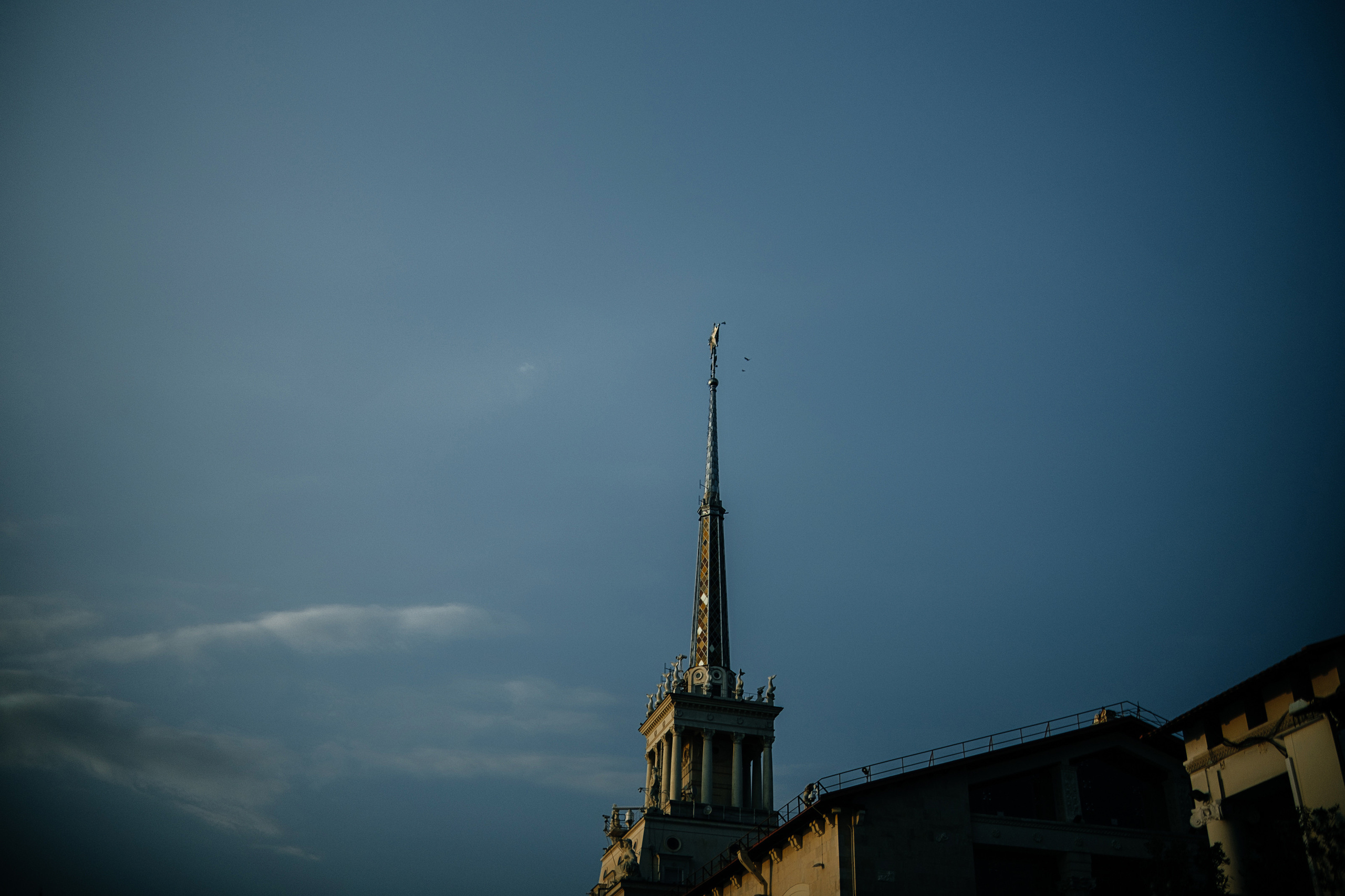 Виктория. Свадебный и семейный фотограф Барнаул Рубцовск Бийск Алтайский край