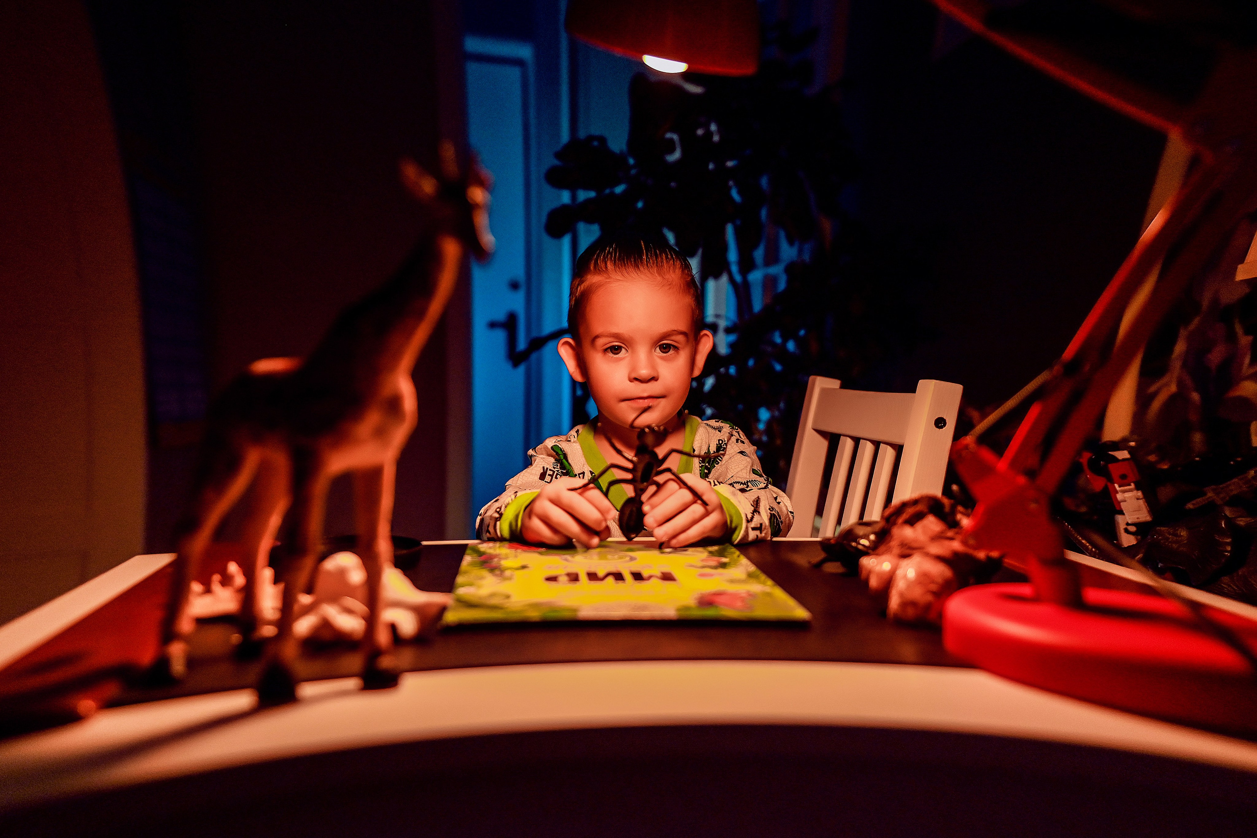 Детская домашняя кабинет натуралиста. Свадебный, семейный, детский, контент фотограф в Омске Максим Ильин