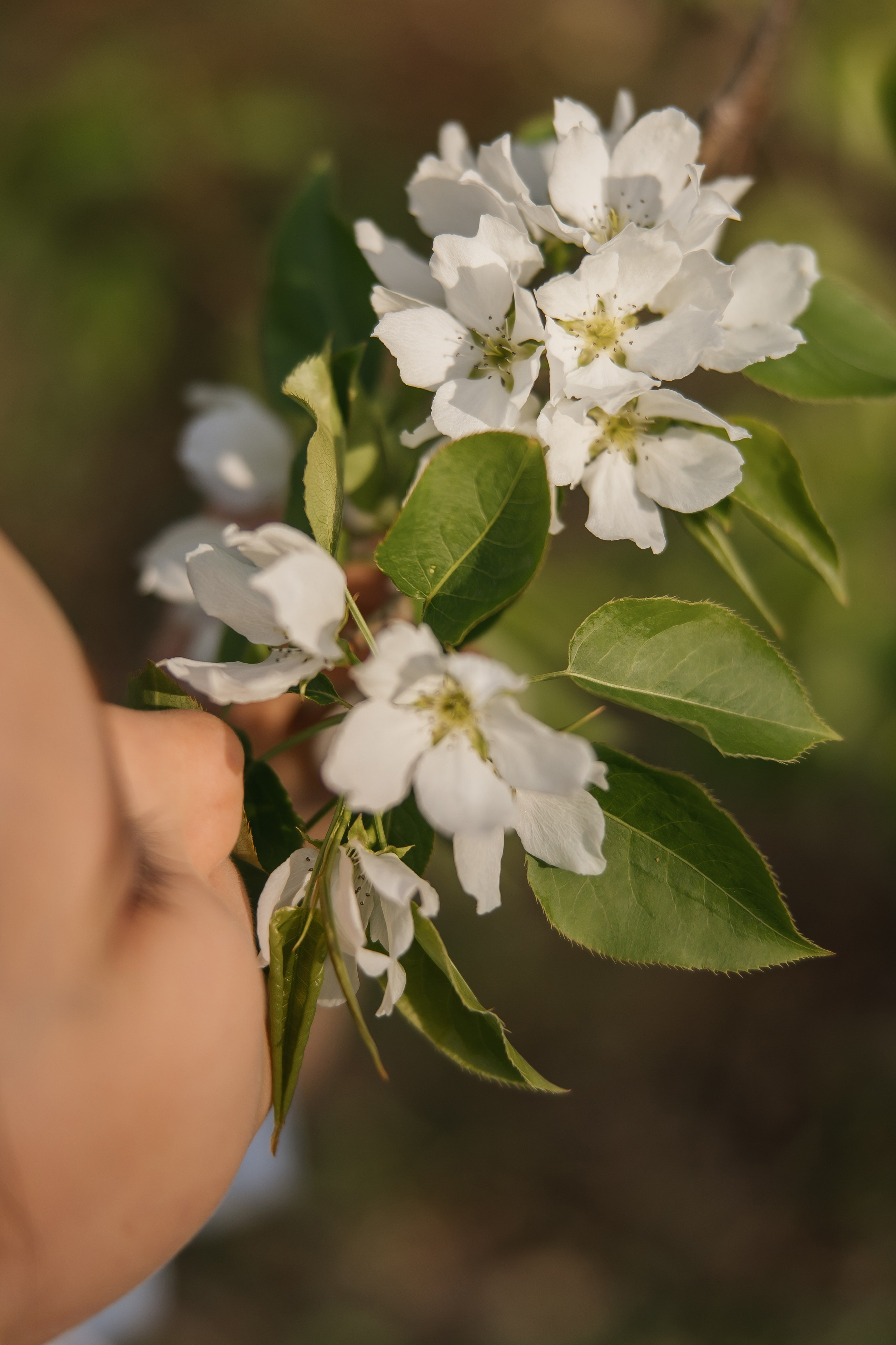 4+1. Школьный фотограф в Новосибирске Наталья Иванченко