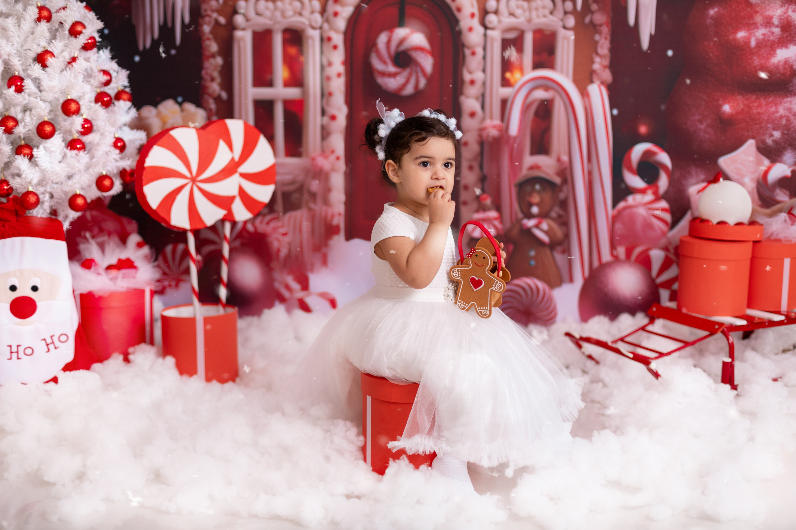 Новый год. Фотограф новорождённых Псков