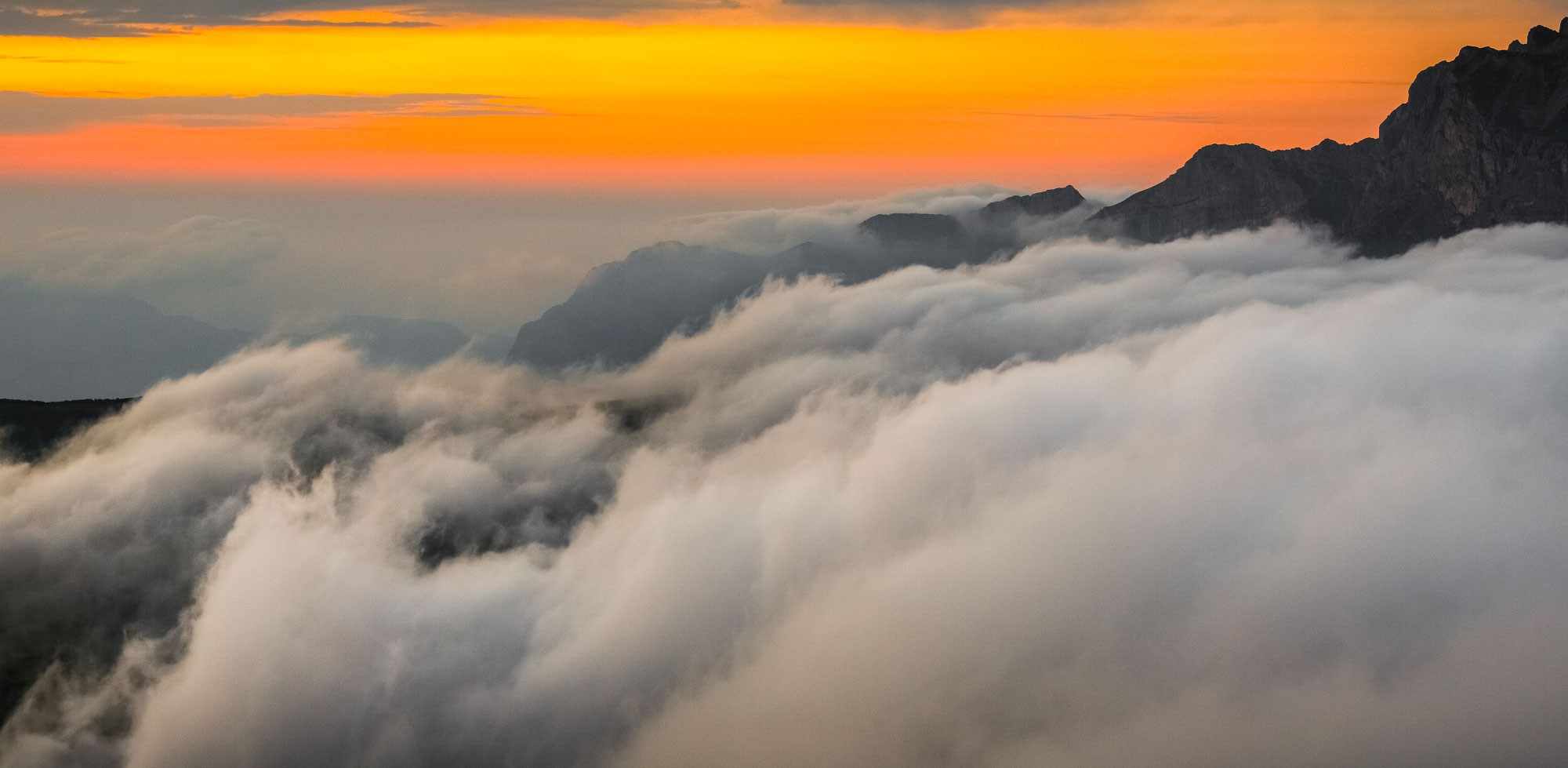 Свадебный фотограф в Геленджике