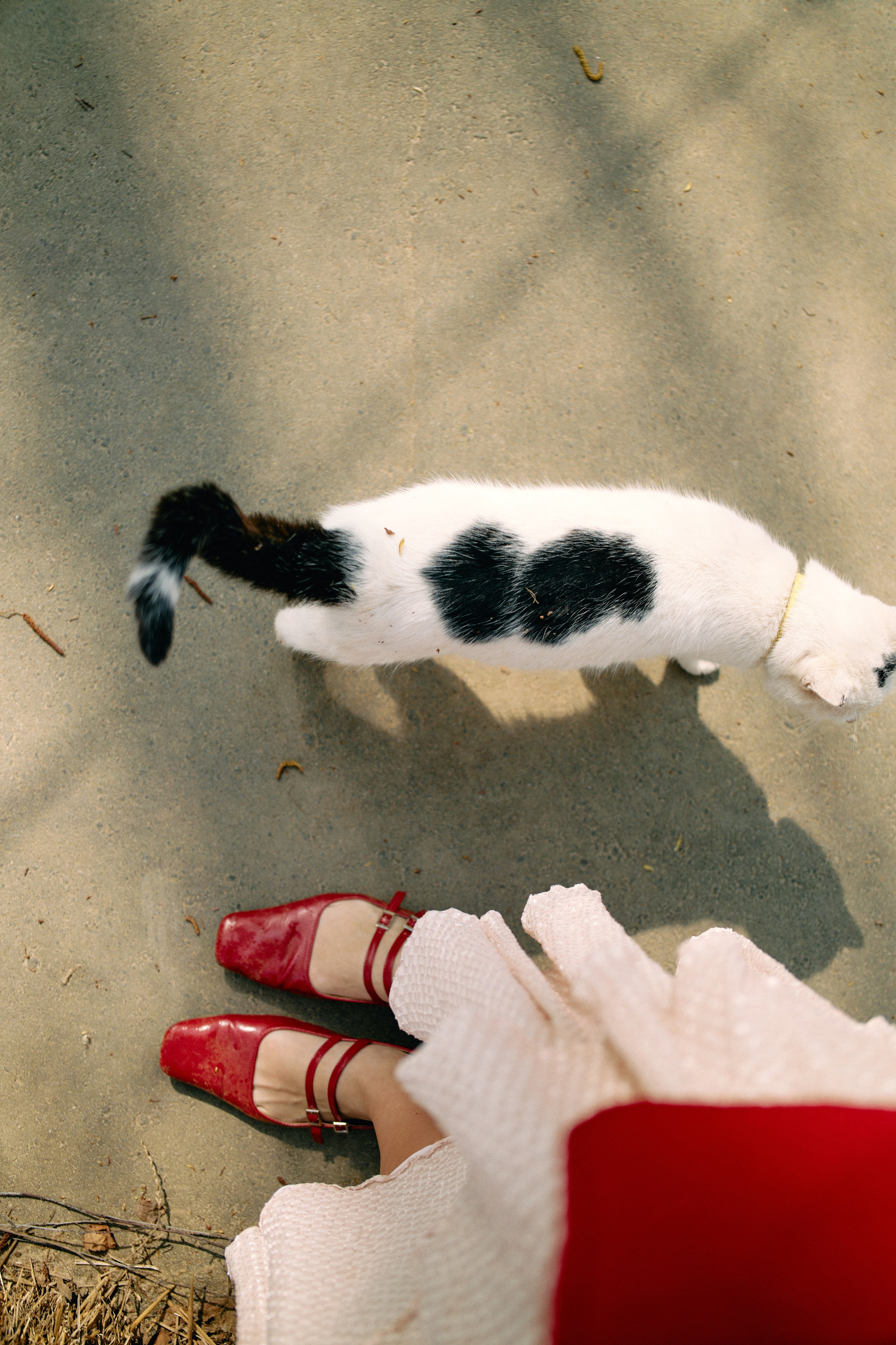 Бутик-отель Поле летом. Профессиональный Фотограф во Владимире, в Москве и в Суздале — Полина Романычева