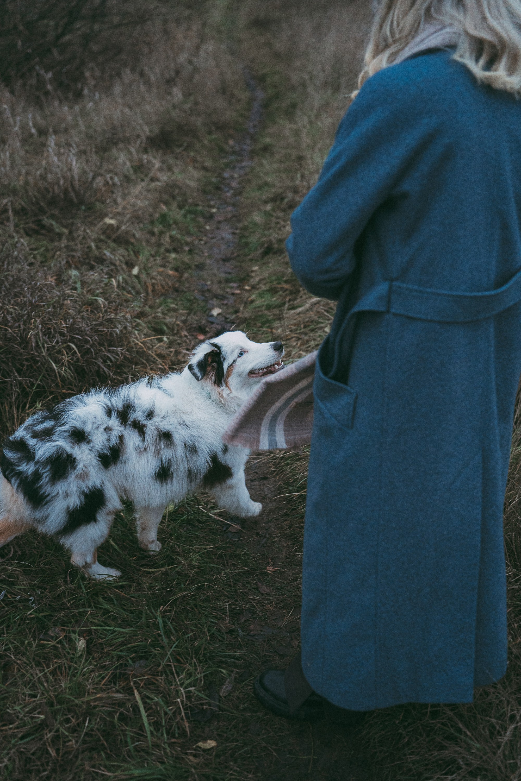 Лиза и Бублик. Фотограф анималист в Москве и Санкт-Петербурге Свиридова Анна