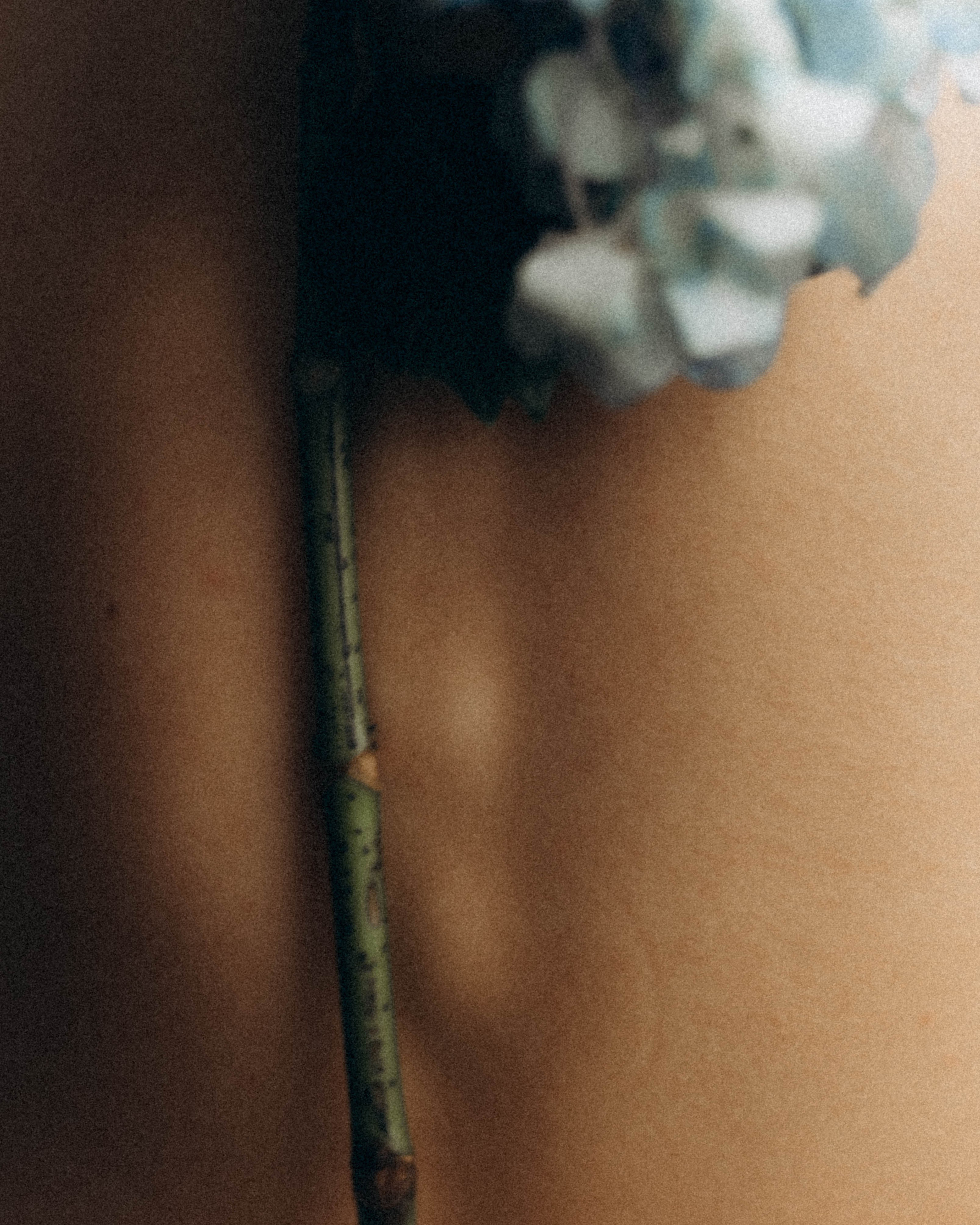 Полина. Фотограф Москва Селюкова Юлия