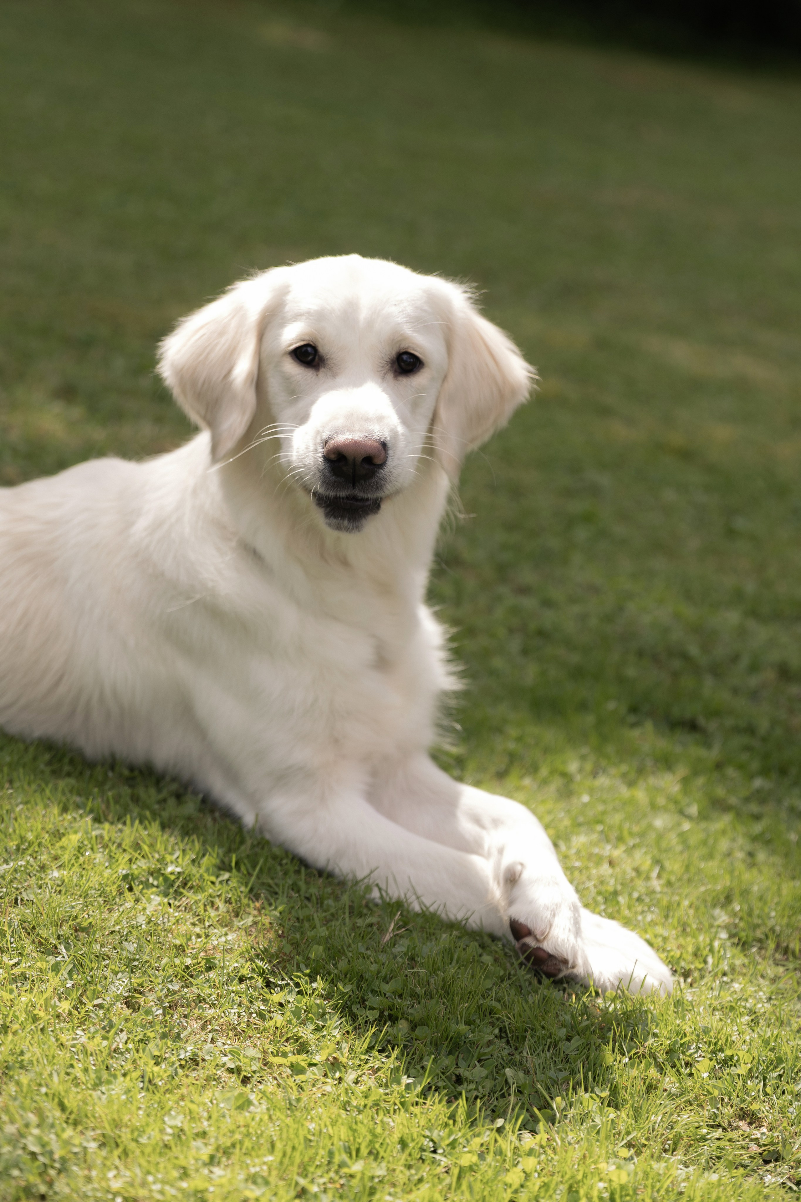 Роман & Полина. Свадебный фотограф в Минске, свадебный фотограф в Грузии, свадебный фо