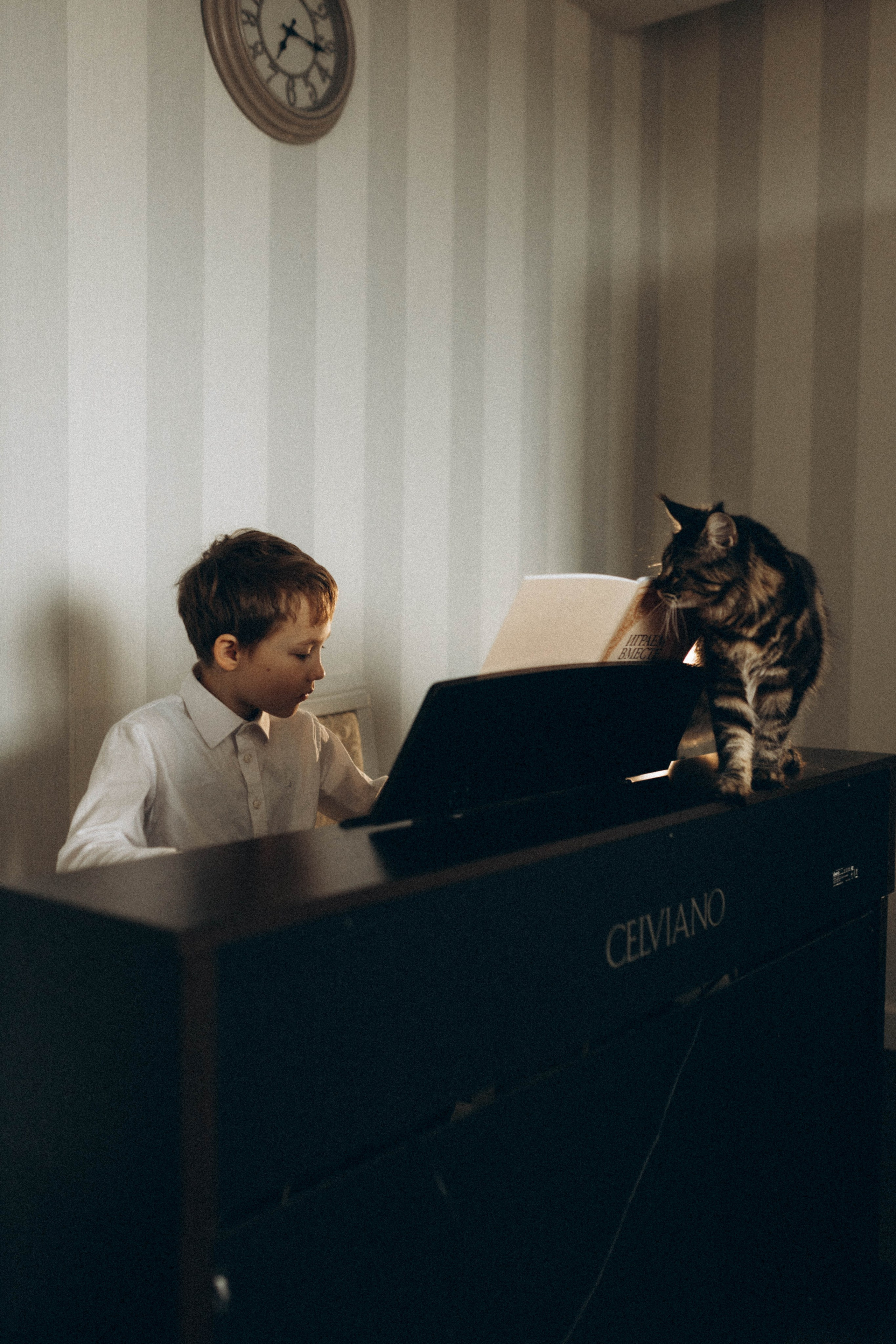 Преподаватель музыки