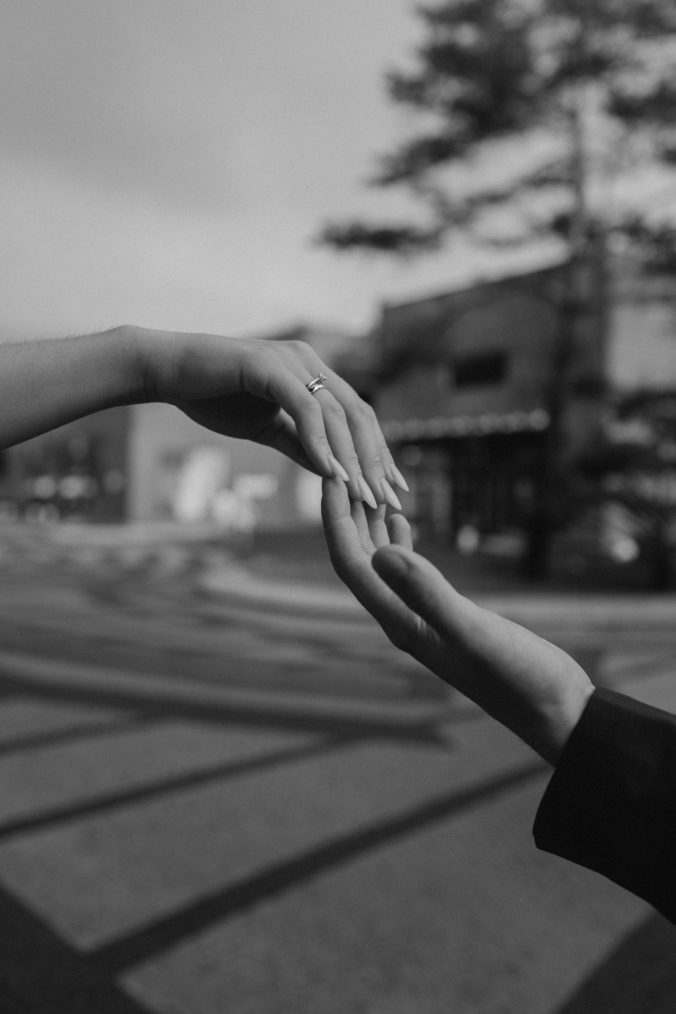 Марина & Никита. Роспись и прогулка. Семейный фотограф в Москве