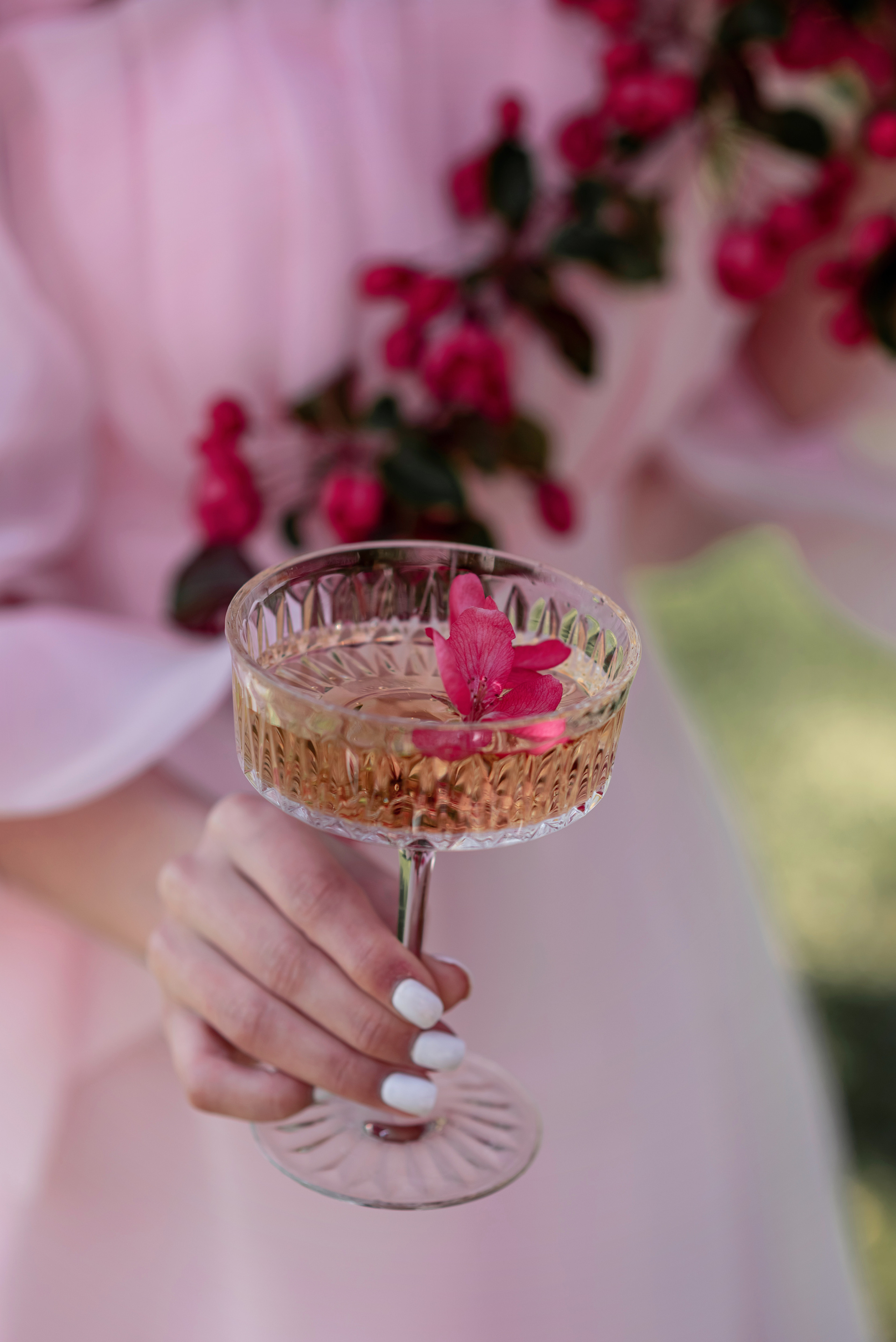 Цветение. Анастасия Русяева — профессиональный фотограф в Москве