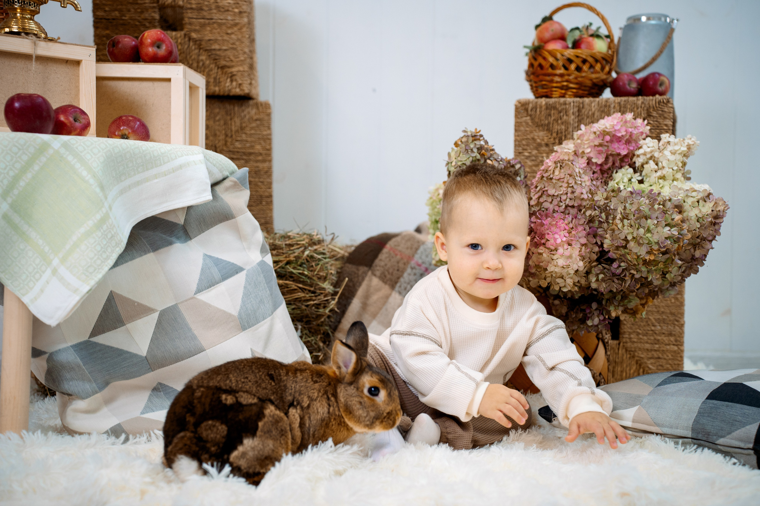 Кролик. Фотограф Казакова Анастасия