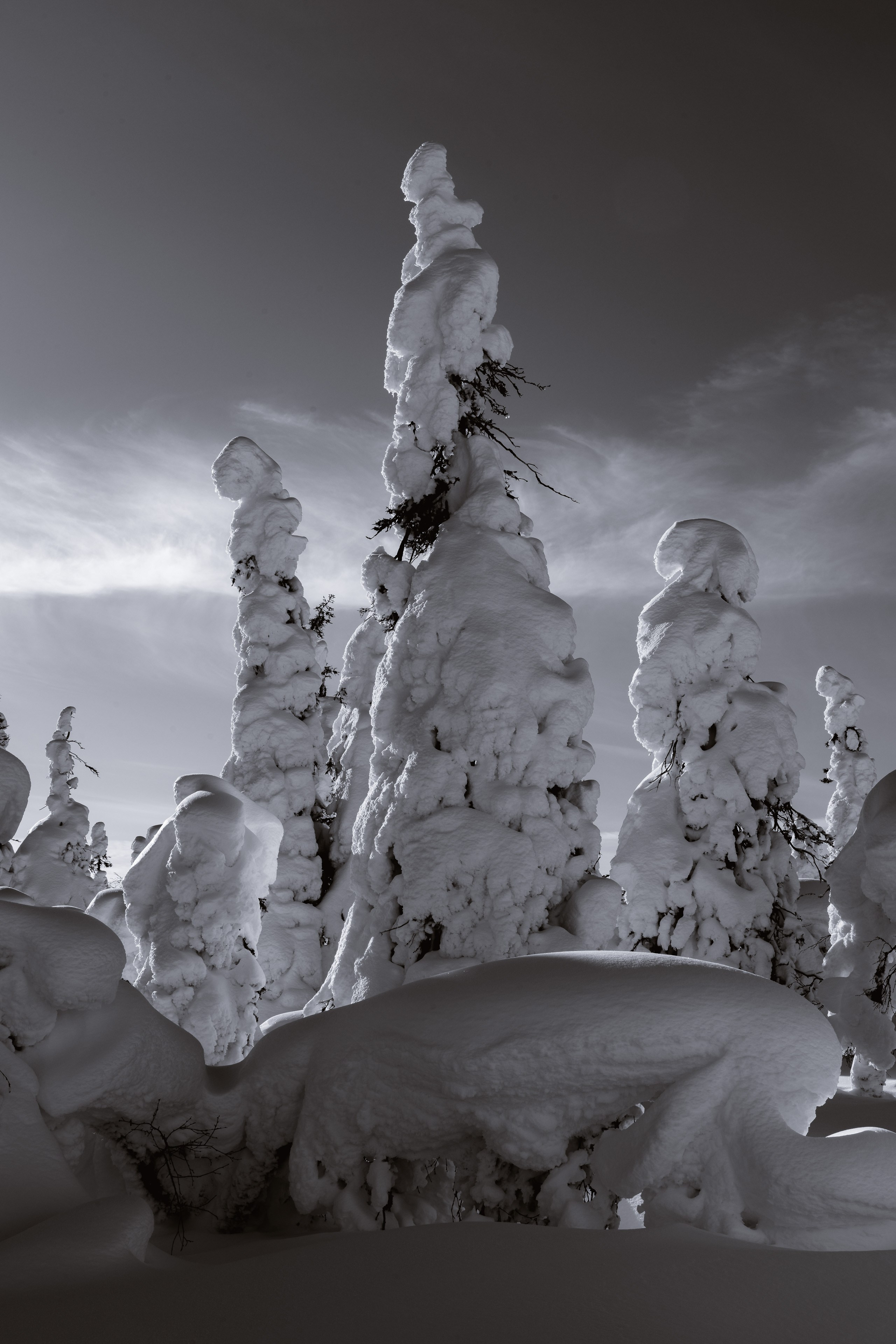 Зима. Северные Ночи