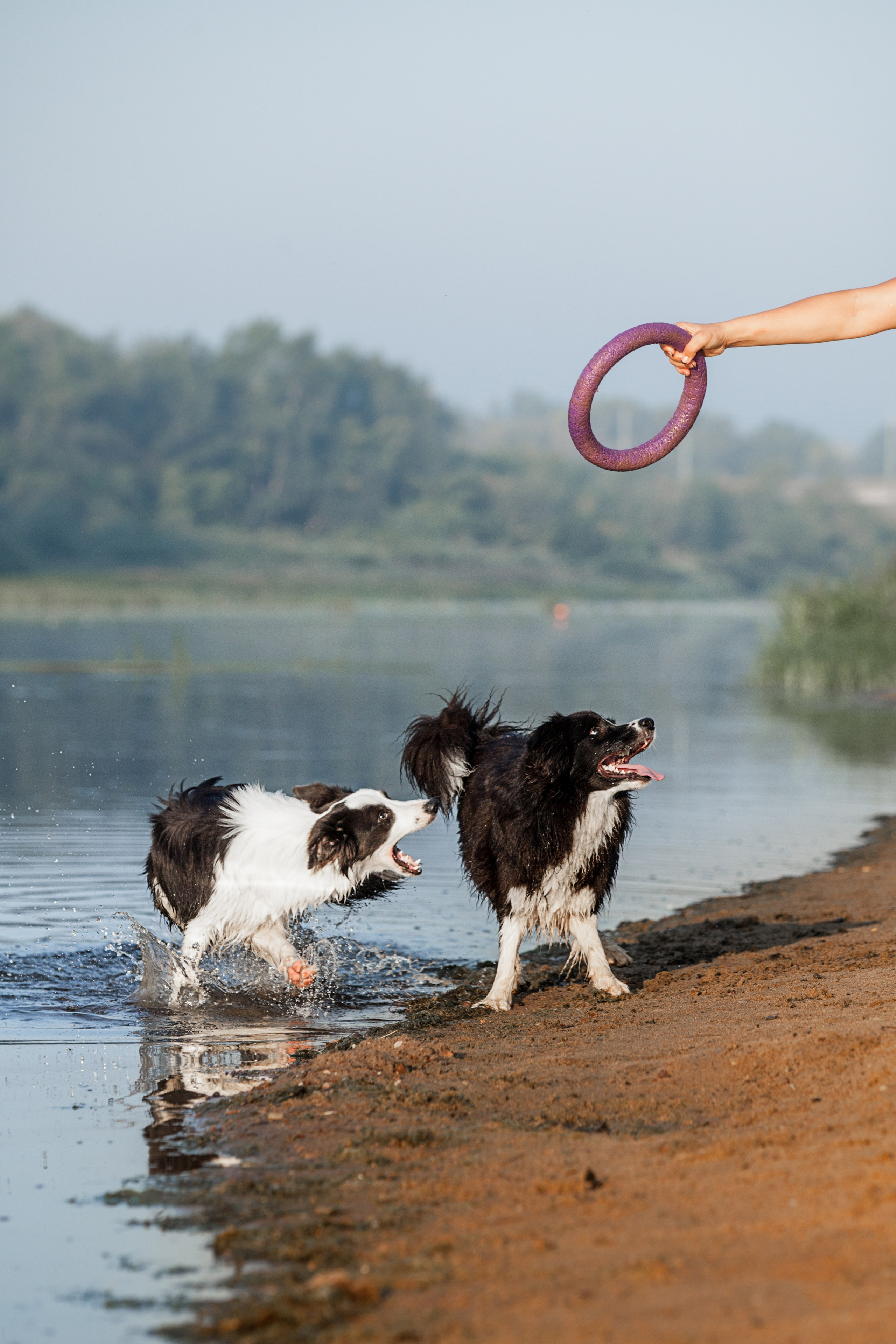 Сочный рассвет, на который решились. О нас