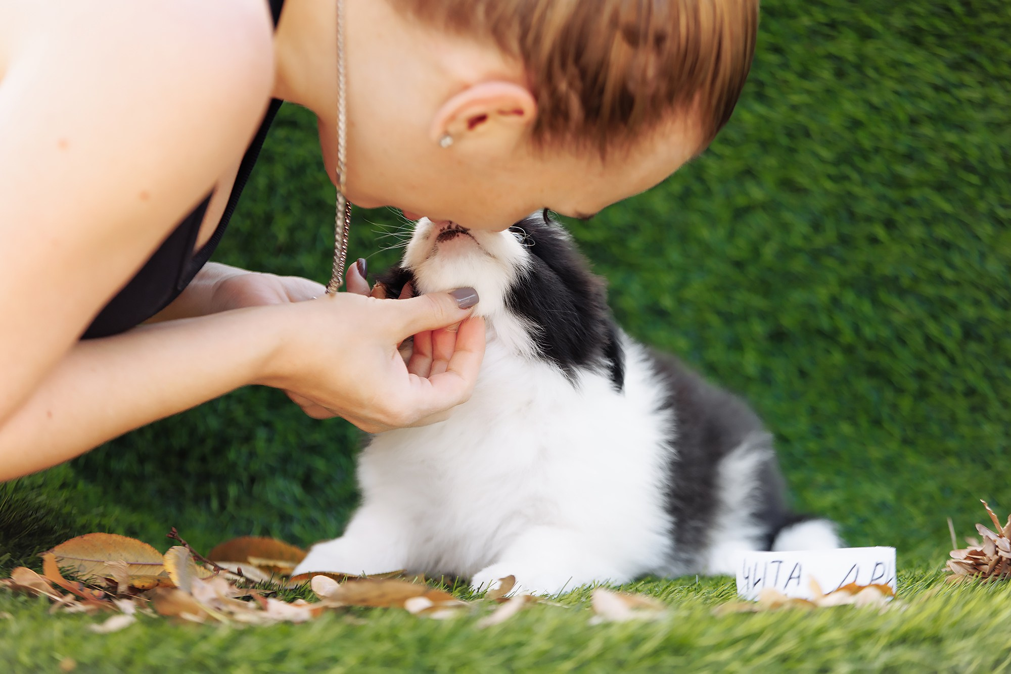 Новый лист. О нас