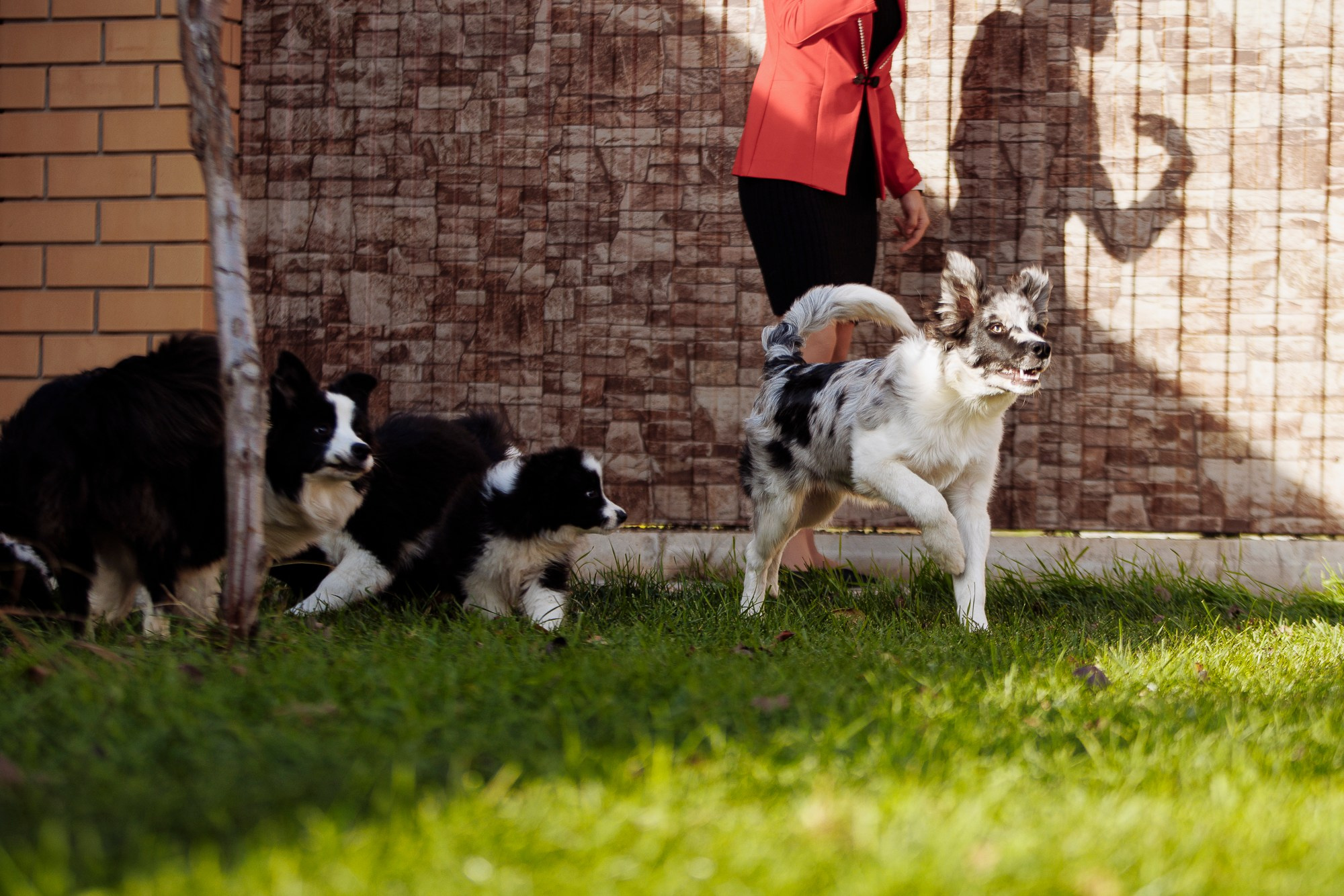 У дома с большой компанией от мала до велика. О нас