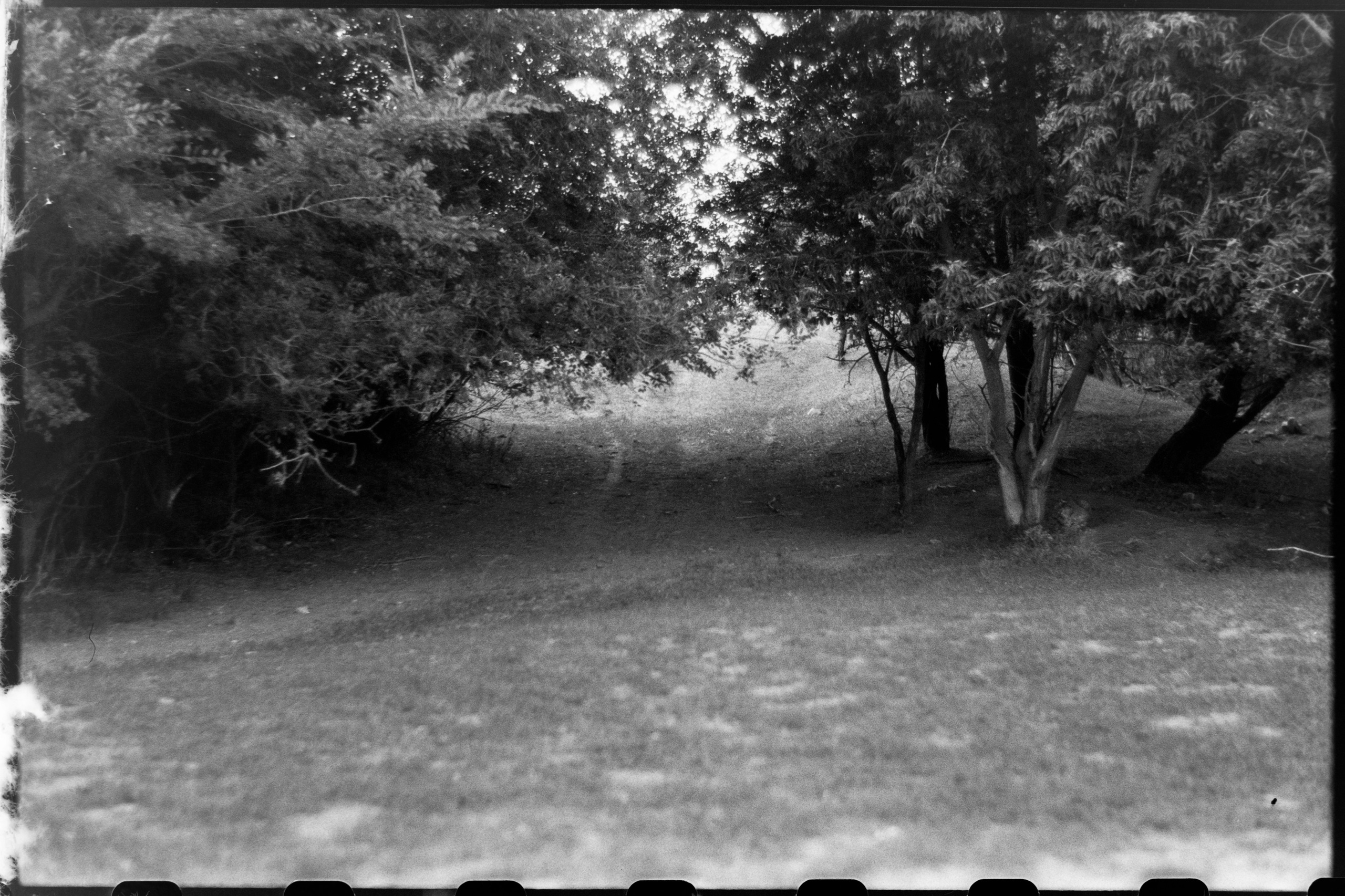 Пленочная история. Дмитрий Пропадалин, Нейрофотография