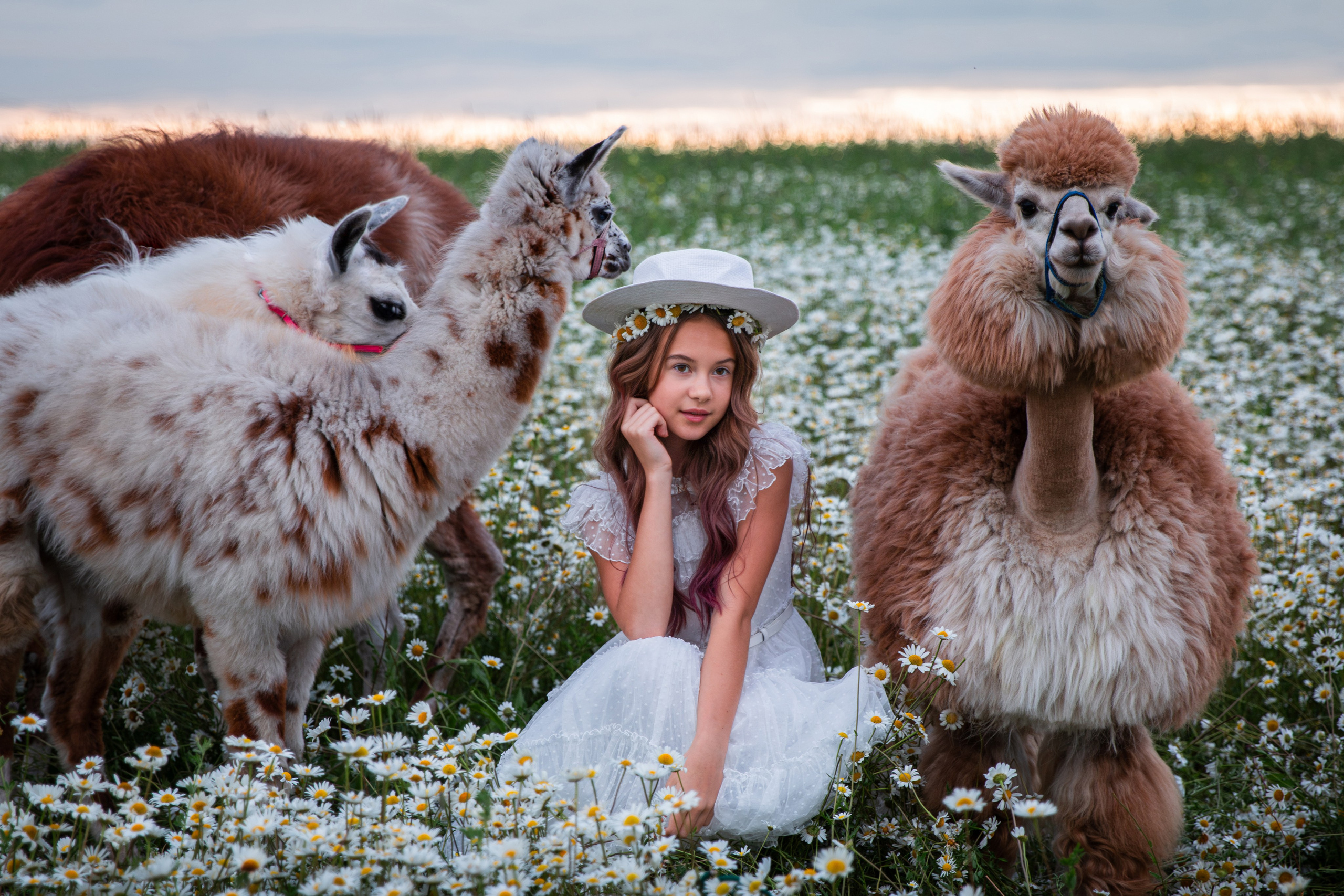 Фотосессии с лошадьми в Москве и Московской области. Конный фотограф Алеся Нечаева