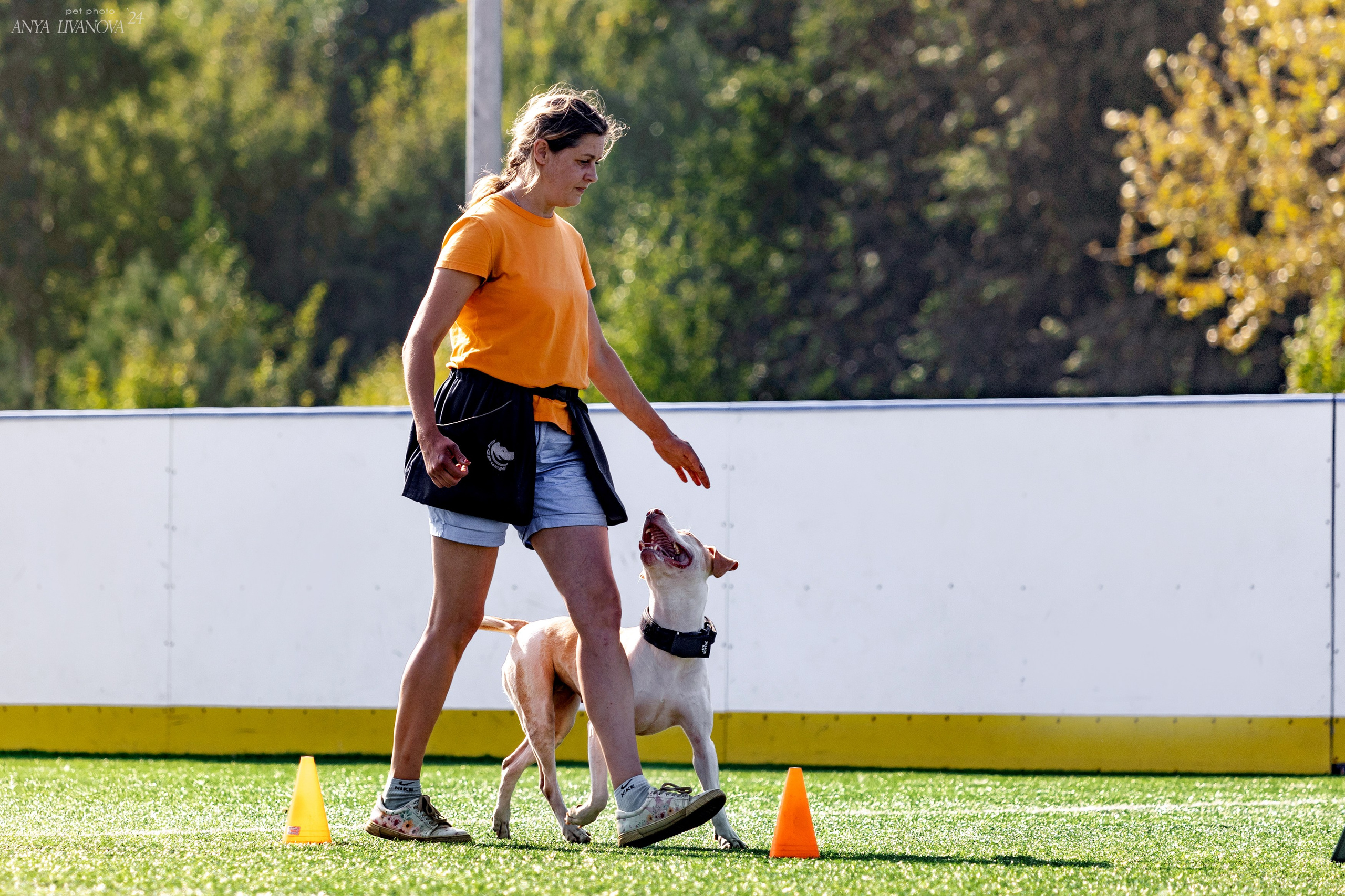 Ралли обидиенс. Фотограф анималист Аня Ливанова | Рыбинск