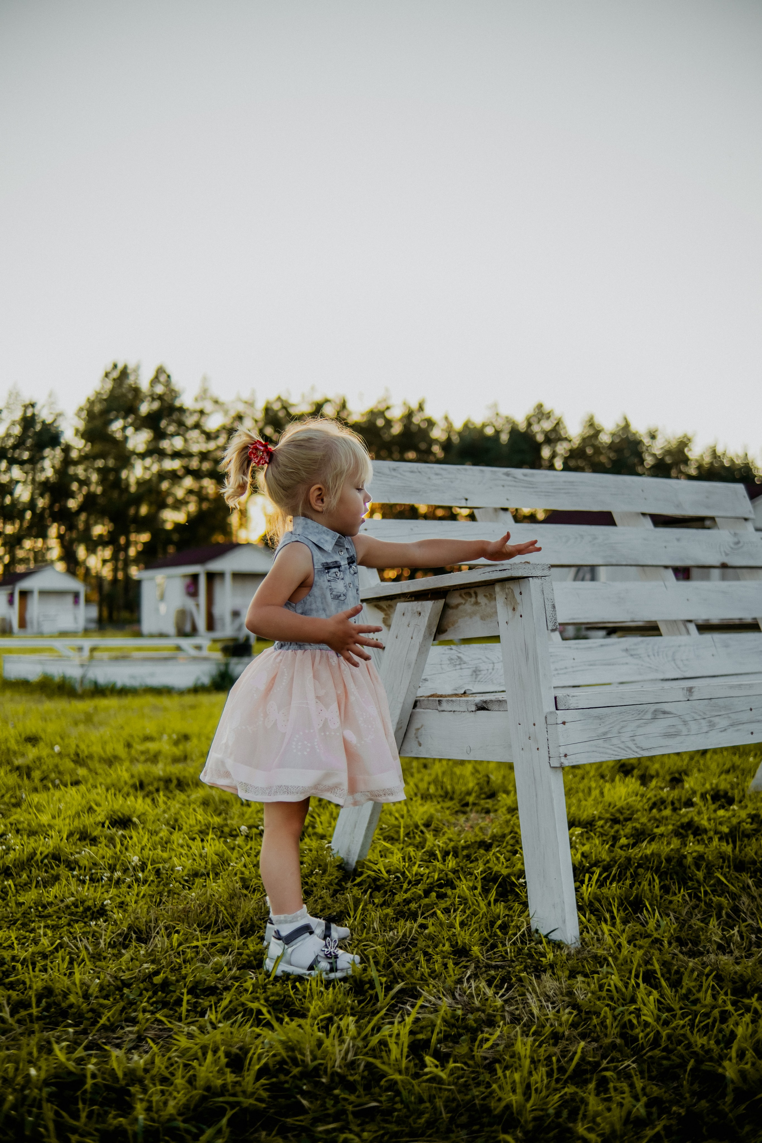 Семейная съемка в лованде. Nattie.ph