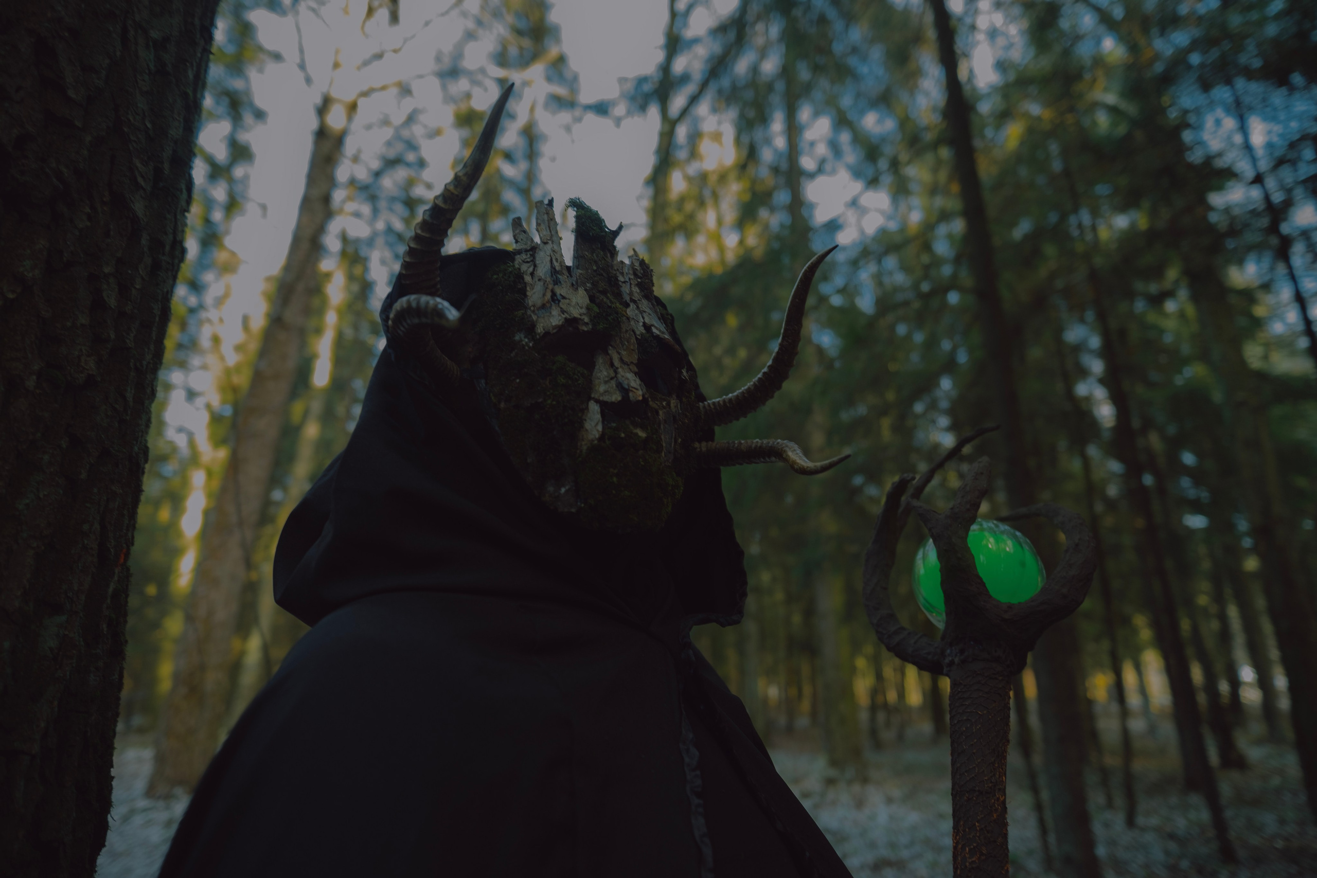 «Дух леса». Фотограф (Москва, Мытищи)— Комова Анастасия