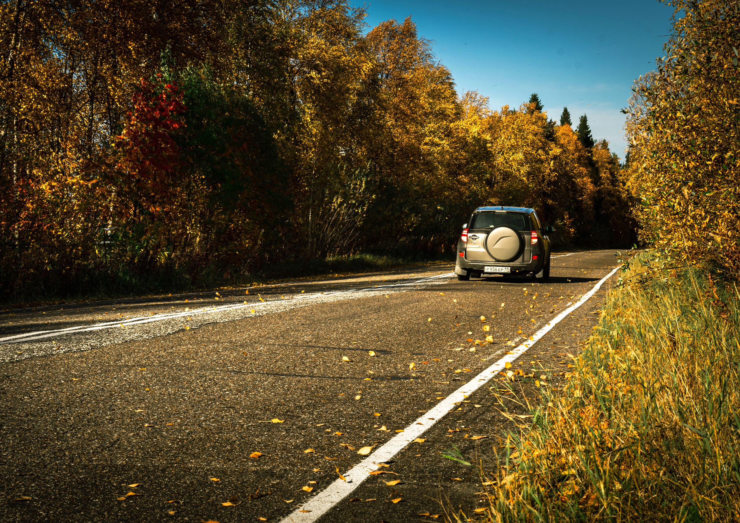 Осень. Фотограф в с. Ижма Республика Коми Терентьев Сергей