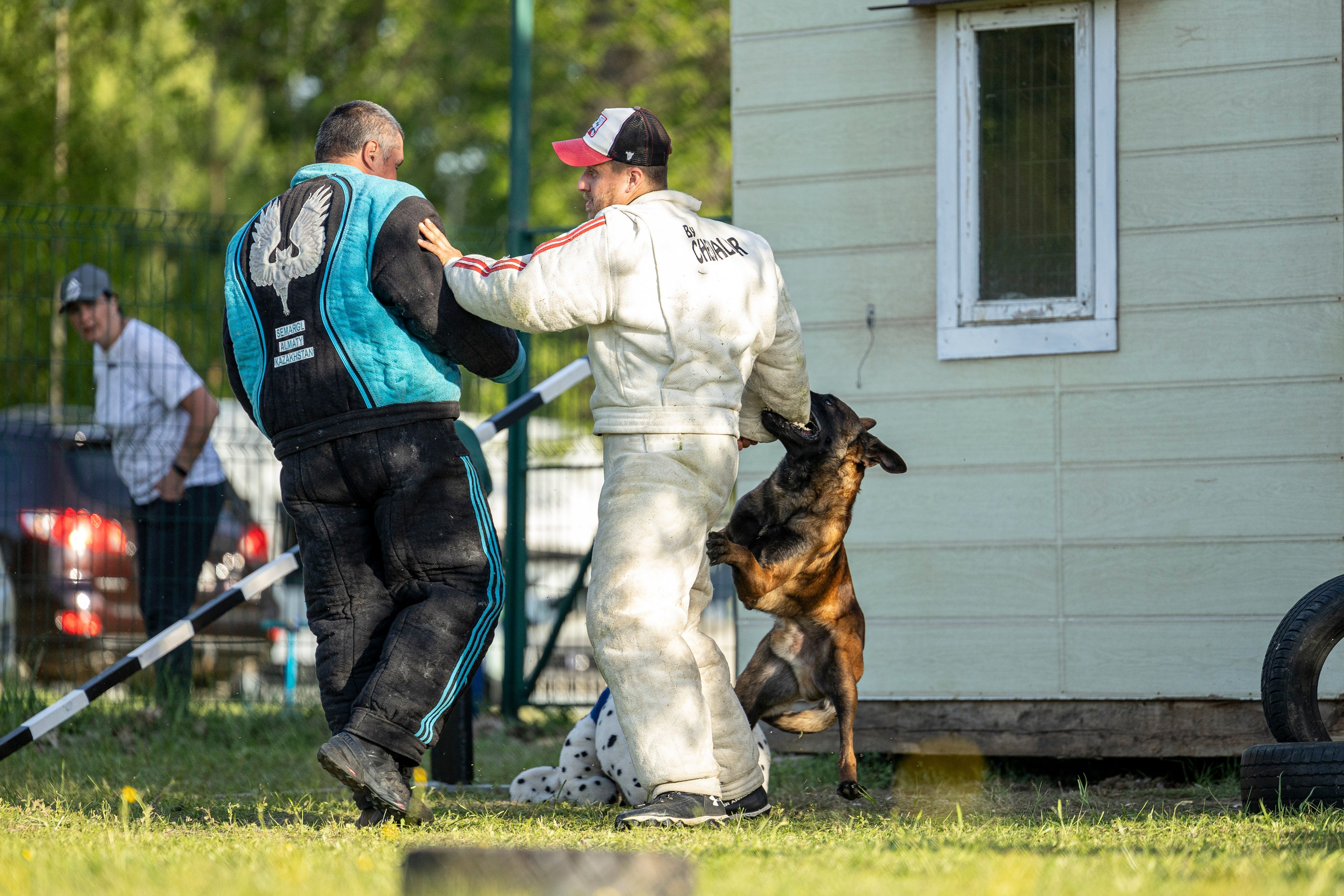 Испытания по мондьорингу в Нижнем Новгороде. Фотограф-анималист Анна Маринич
