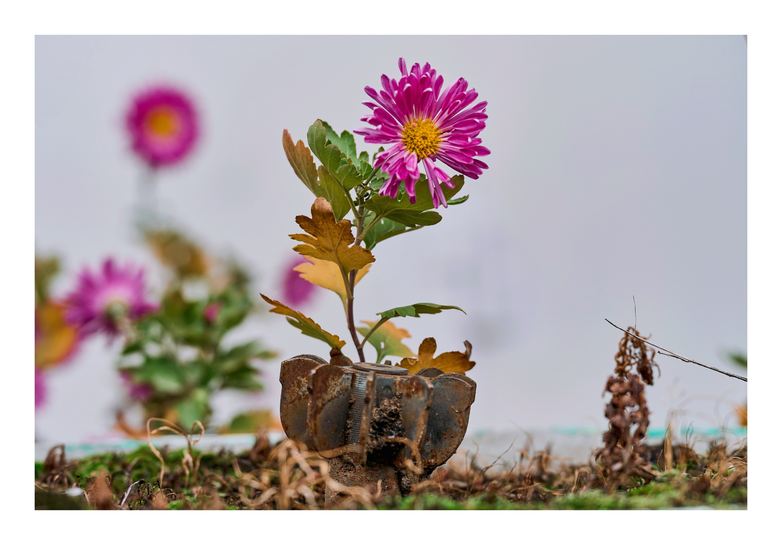 Фотопринты А3. Фотопроект «Территории»