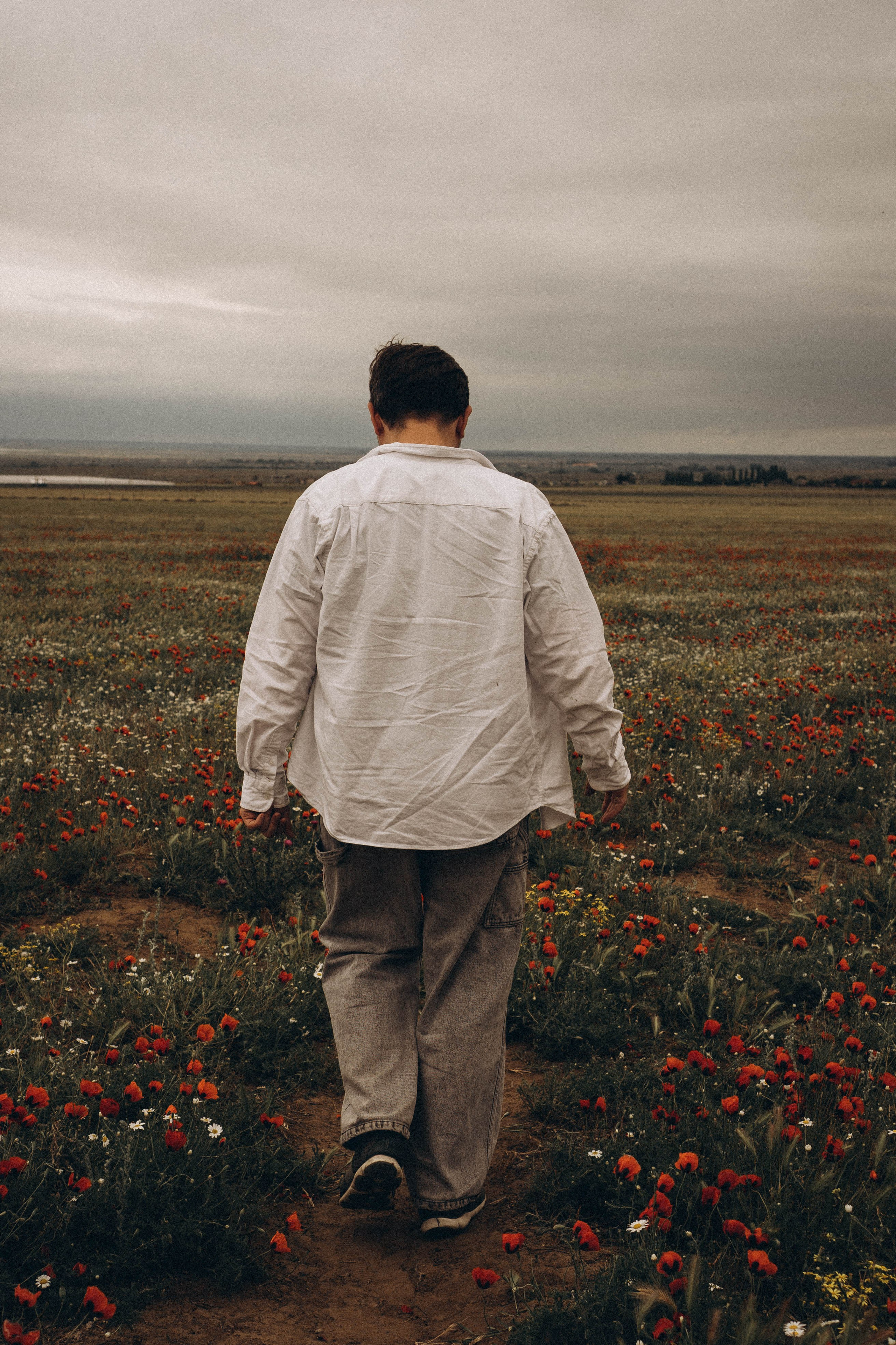 Маки. Профессиональный фотограф, Санкт-Петербург — Виктория Богомолова