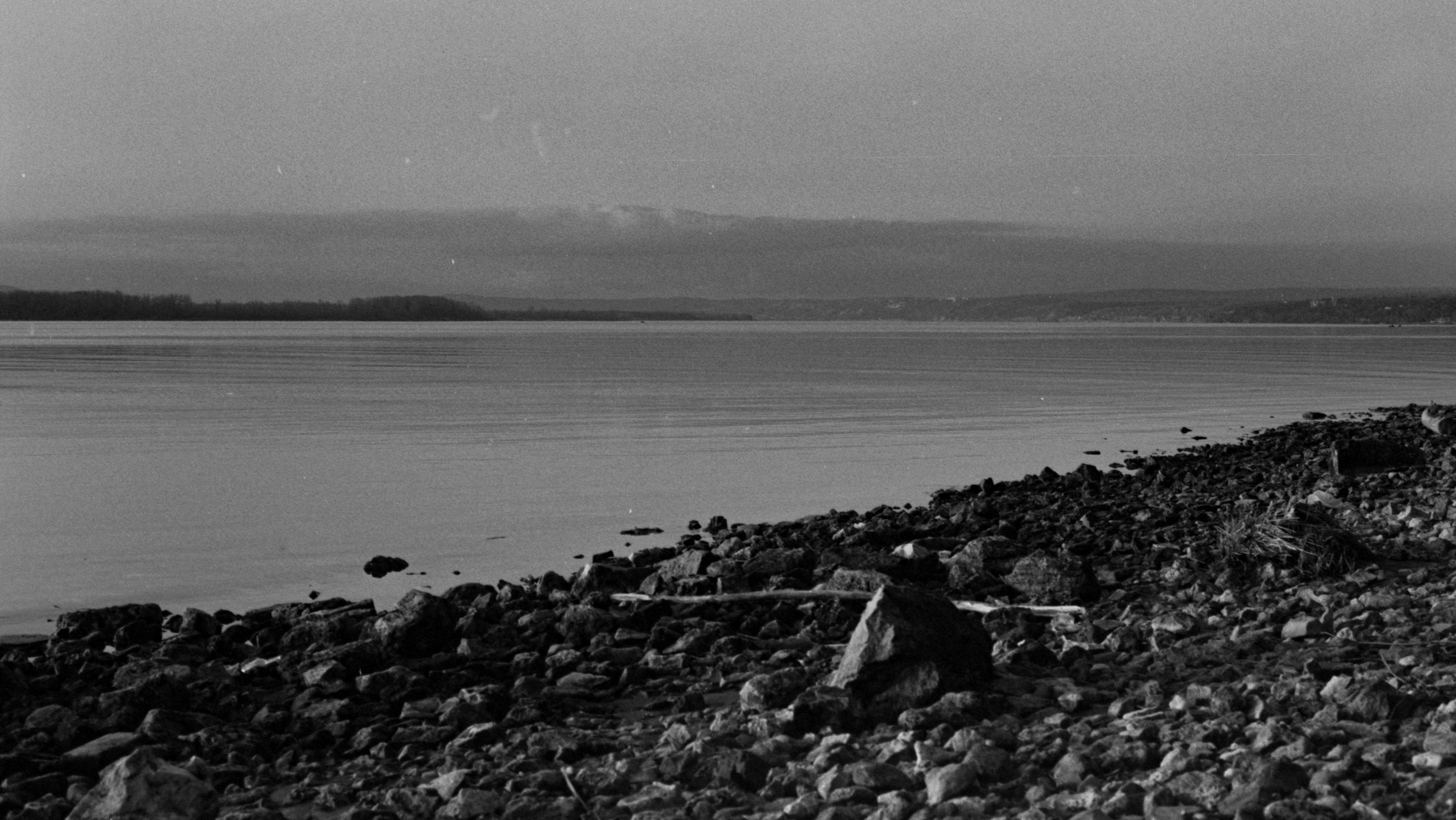 Пленочная история. Дмитрий Пропадалин, Нейрофотография