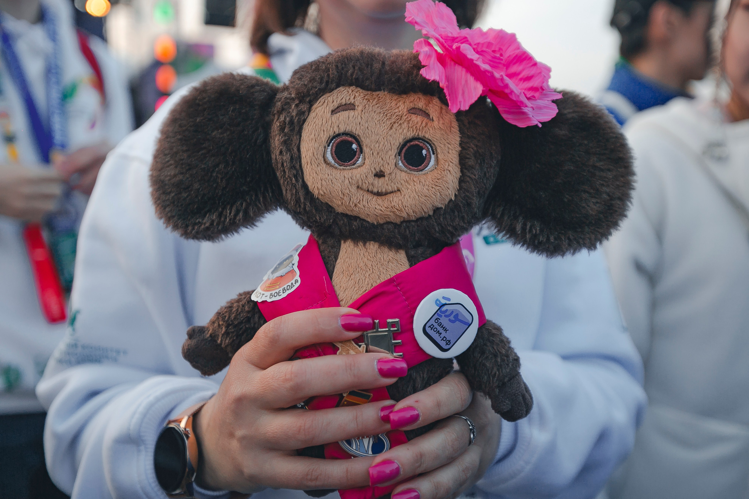 ВСЕМИРНЫЙ ФЕСТИВАЛЬ МОЛОДЕЖИ 2024. Репортажный фотограф Андрей Герасимов