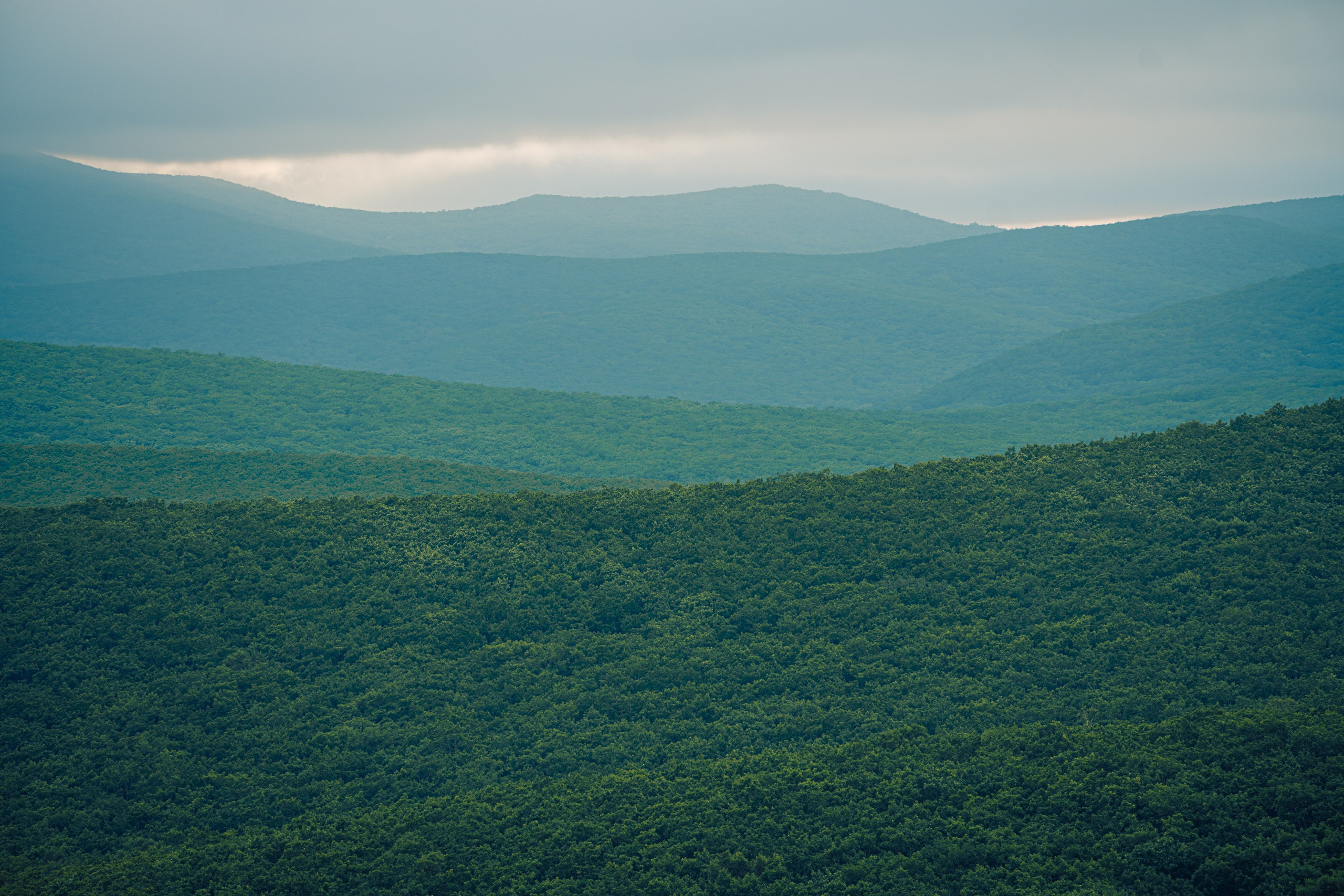 Бухта Дубовая. Иван Зайцев (IZIART) — создание культурного кода через фото и видео