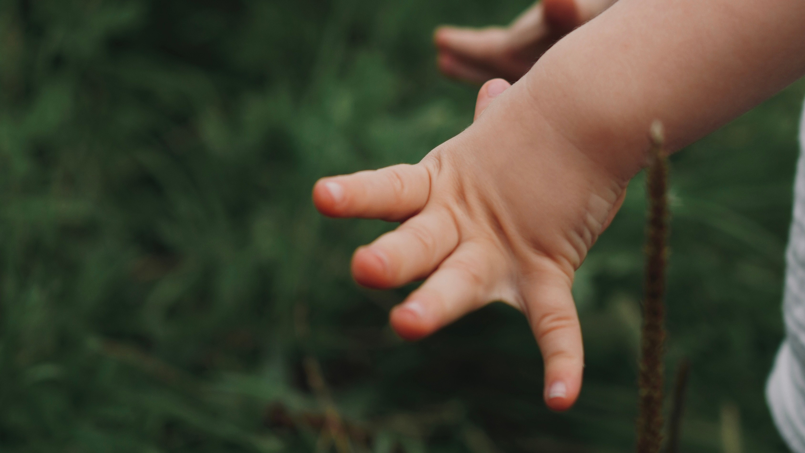 Услуги. Семейный фотограф в Зеленограде