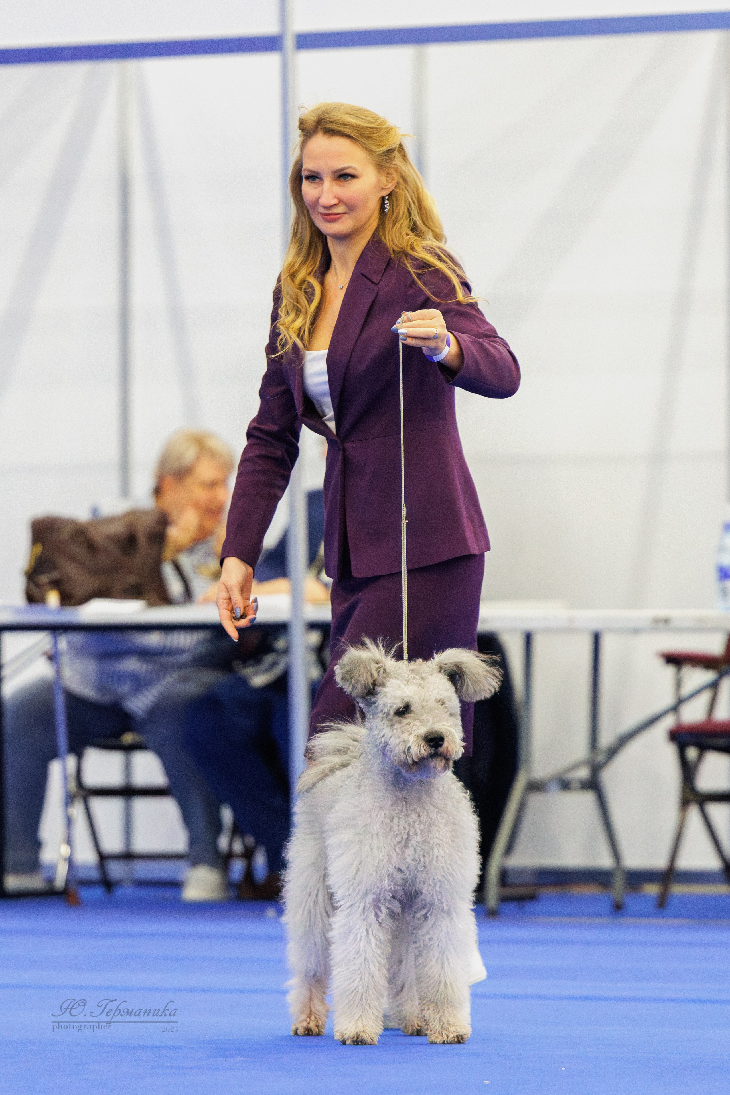 Питер 12-13.12.2025. Фотограф-анималист Юлия Германика