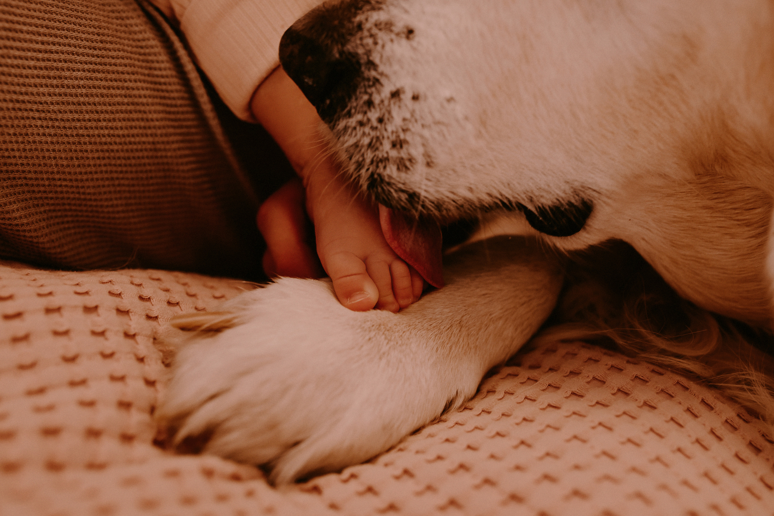 СЕМЕЙНЫЕ. Фотограф Москва Александра Клименко