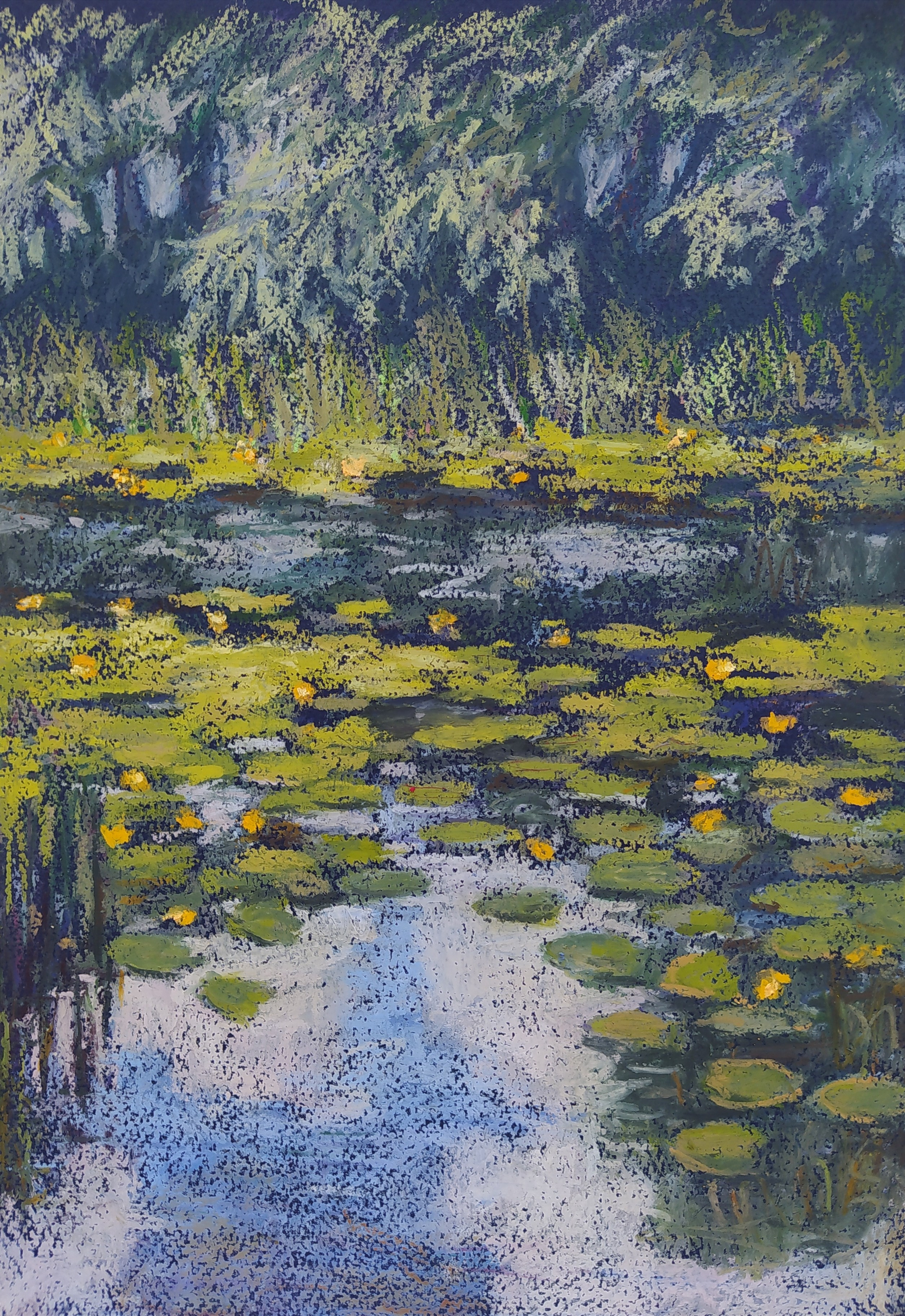 Пейзаж масляной пастелью, рисунок - Делтые кувшинки на воде