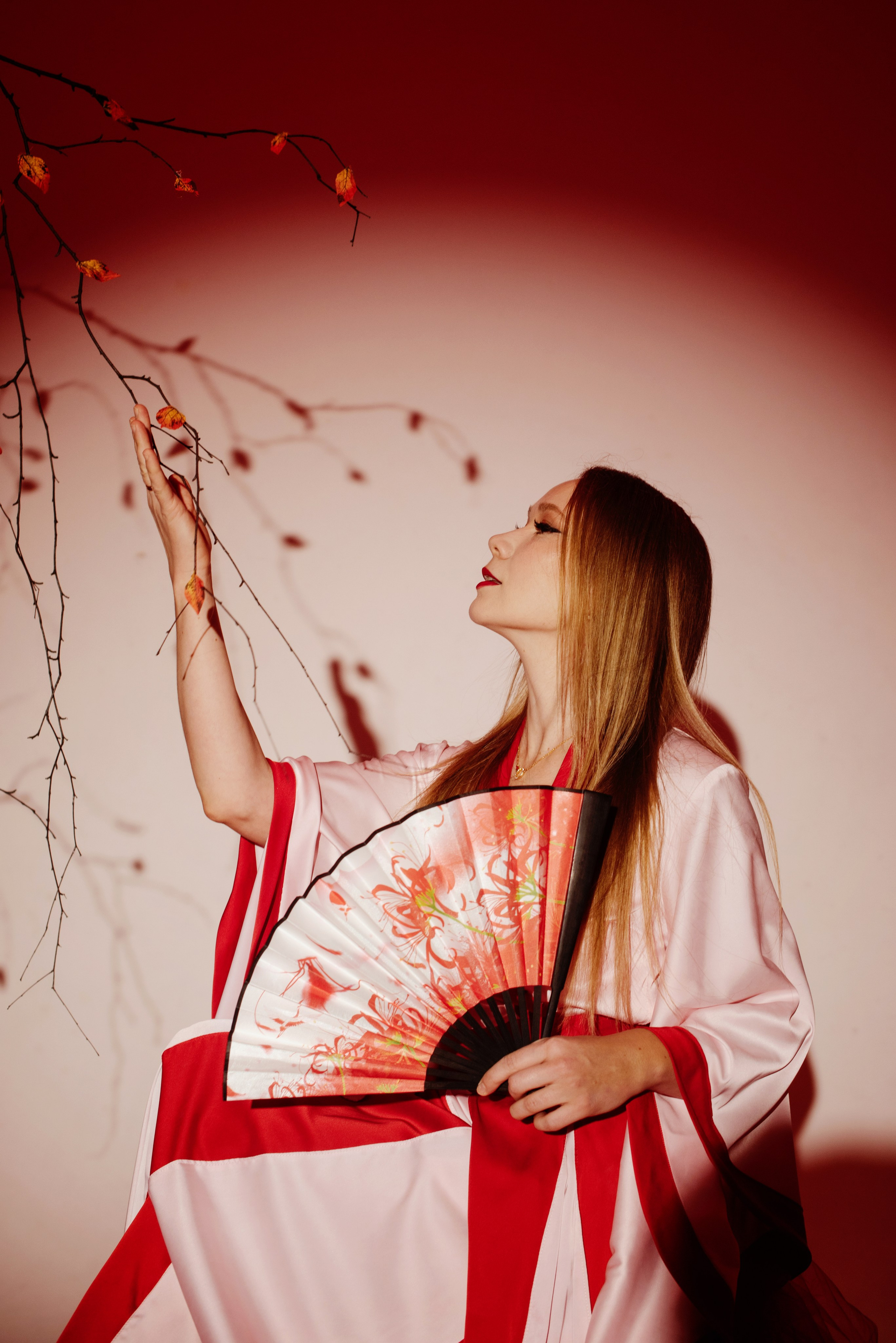 Фото МЕМУАРЫ ГЕЙШИ от Натальи. ФОТОПРОЕКТЫ