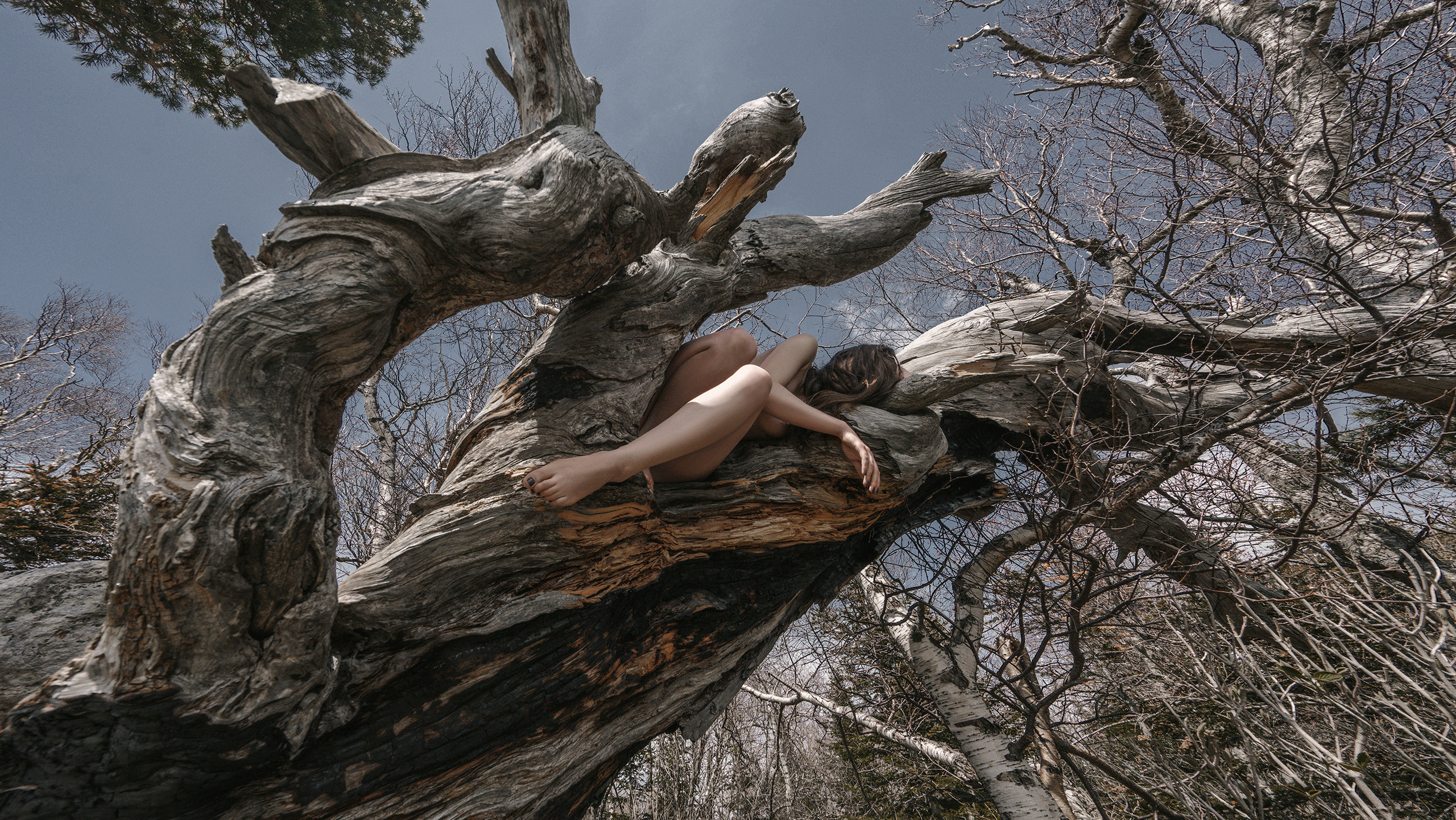 NATURAE NEXUM. Salien Adare