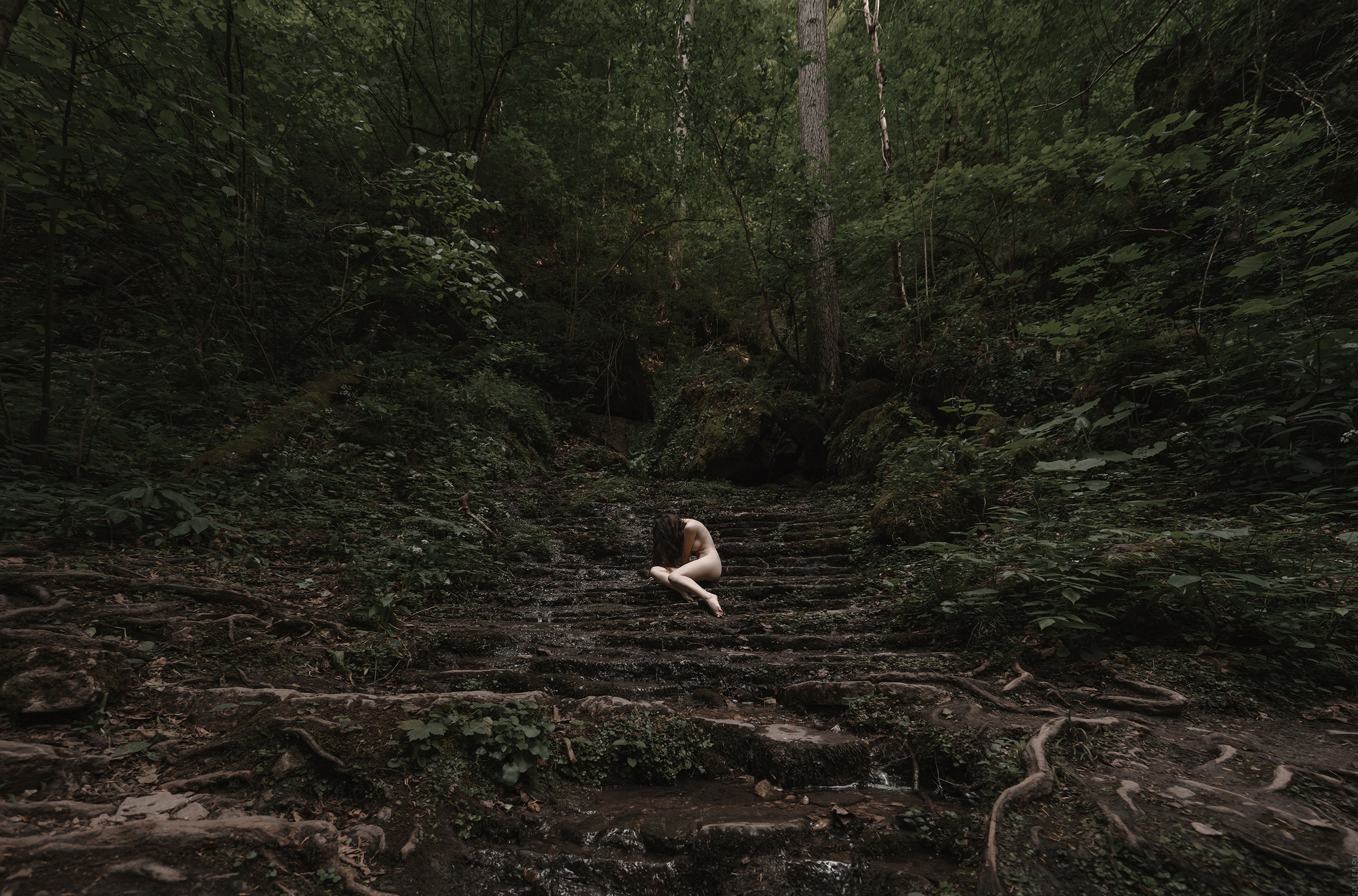 NATURAE NEXUM. Salien Adare