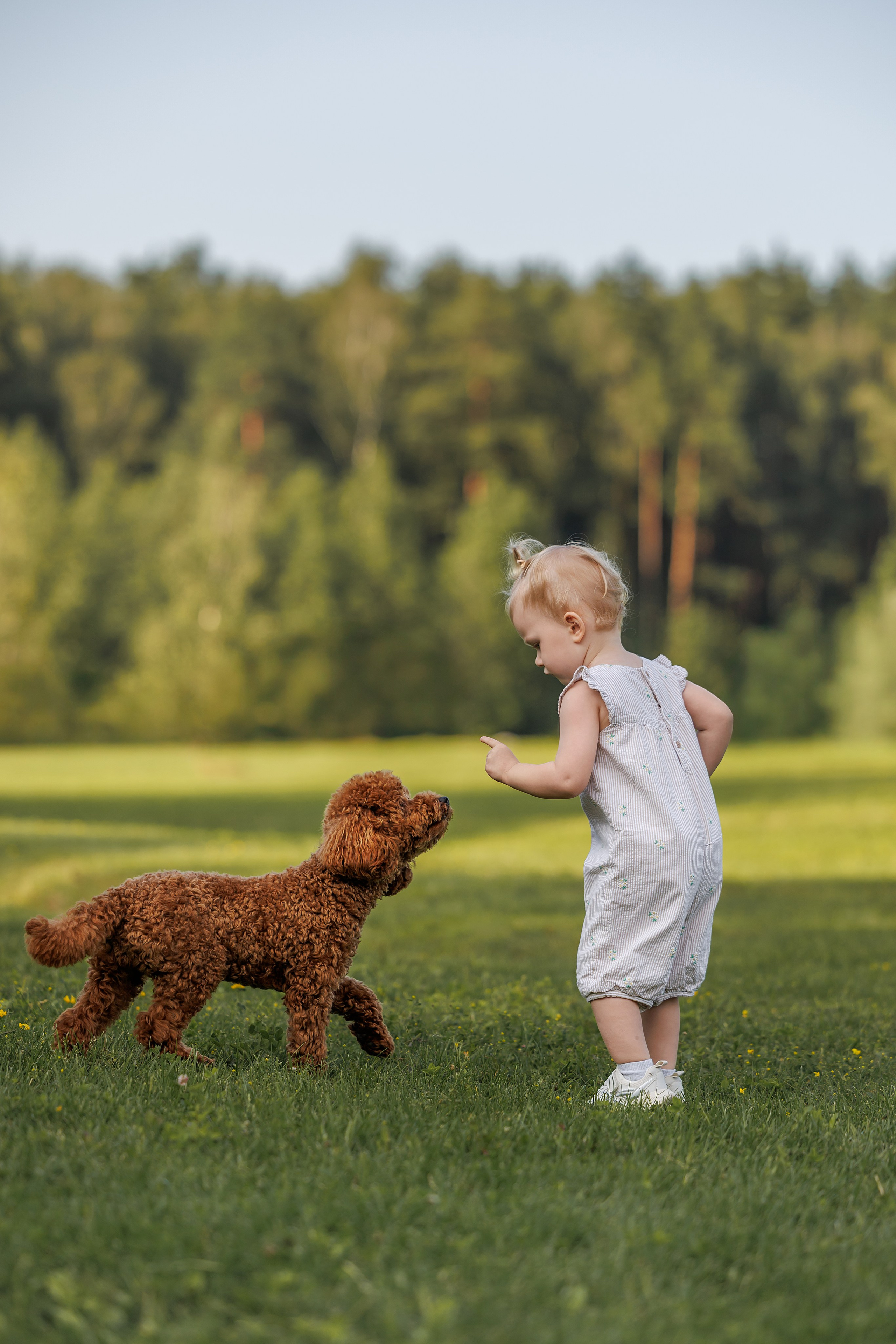 Лариса и Джек. Фотограф Анималист в Москве Анастасия Жучкова
