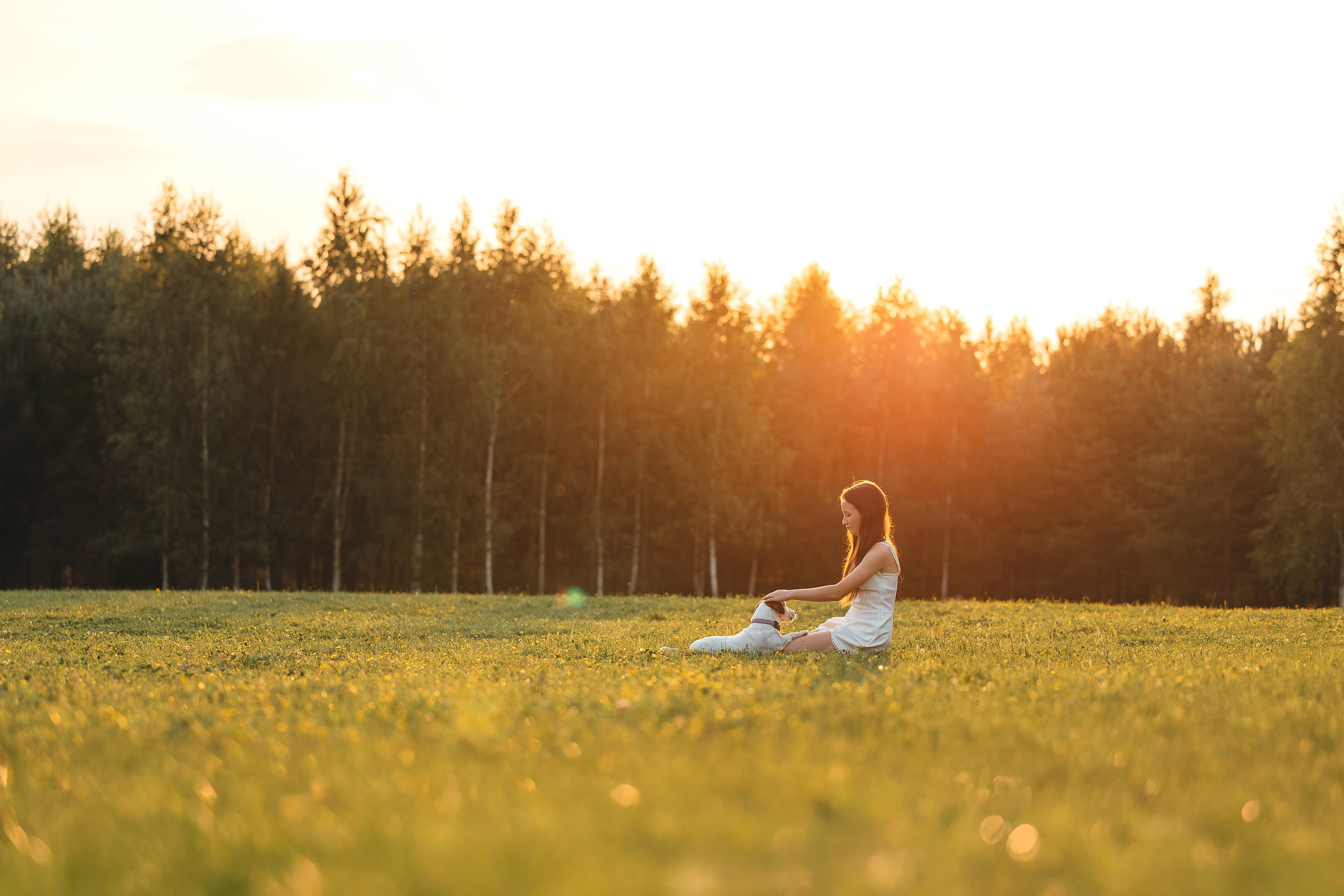 Юлиана и Риф (в обработке). Фотограф Анималист в Москве Анастасия Жучкова