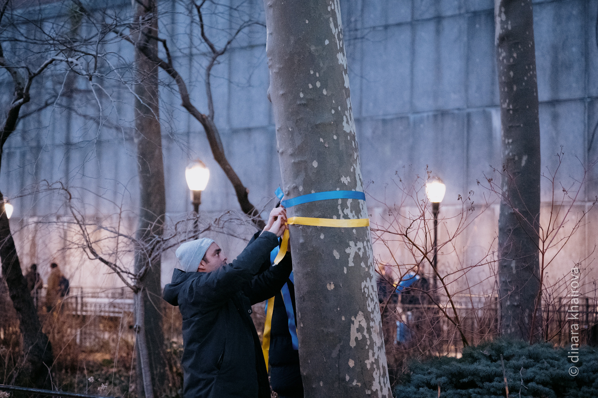 Peace. Dinara Khairova