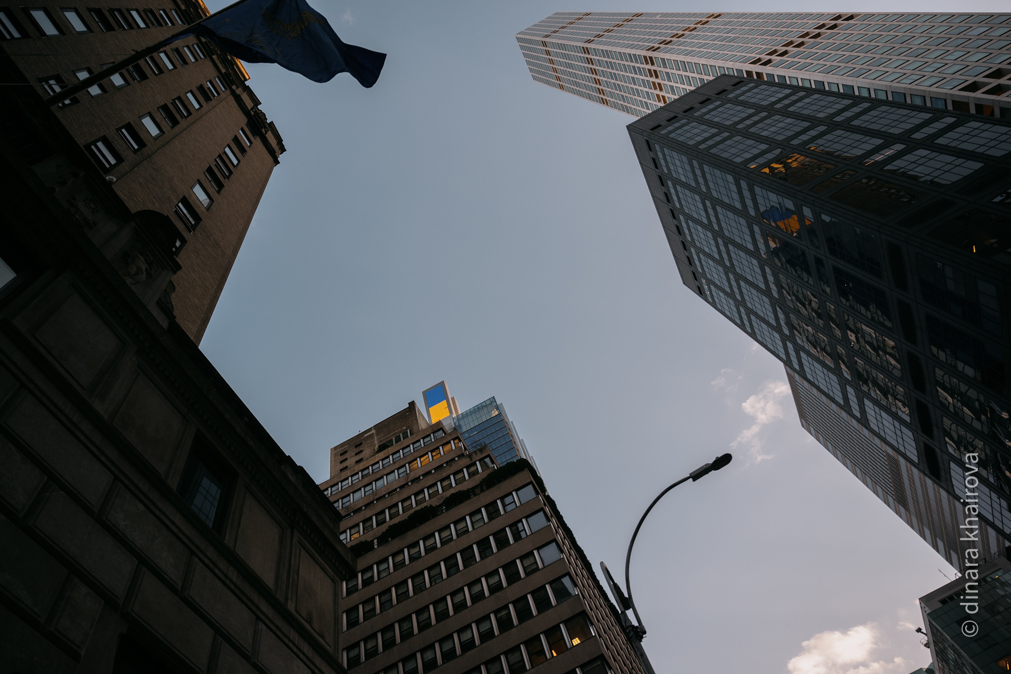 Peace. Dinara Khairova