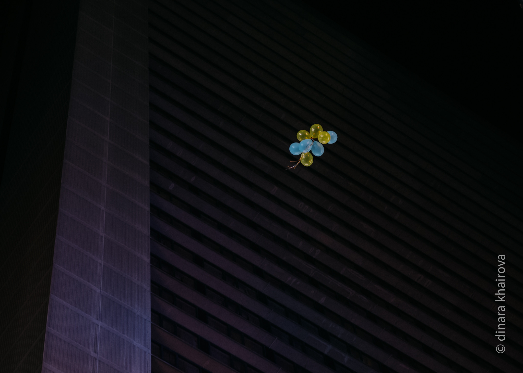 Peace. Dinara Khairova