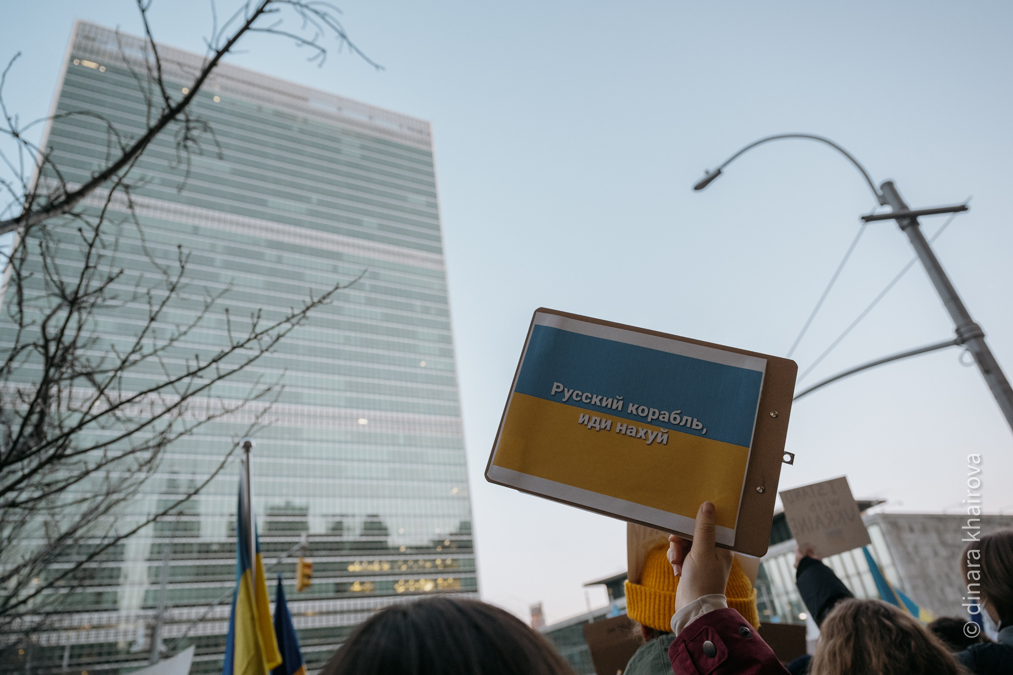 Peace. Dinara Khairova